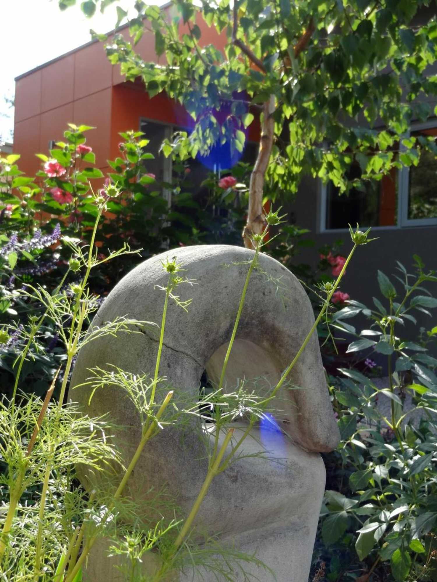 Gift card for The Gallery Accommodation Mccrae Gift card for The Gallery Accommodation Mccrae