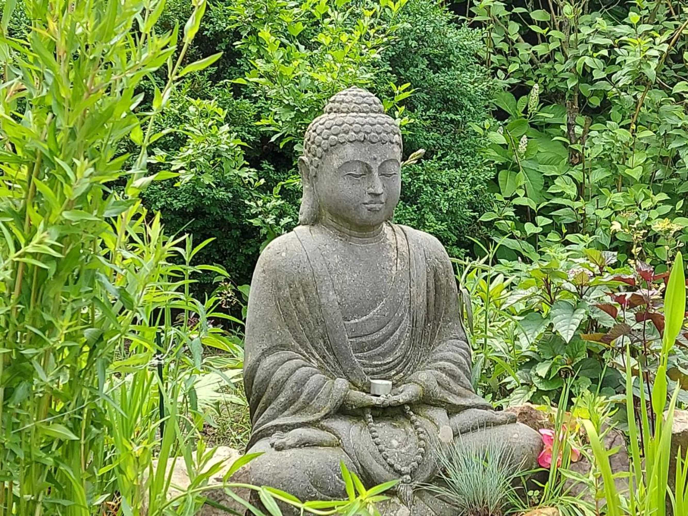 Gift card for Bed&breakfast Kamersven