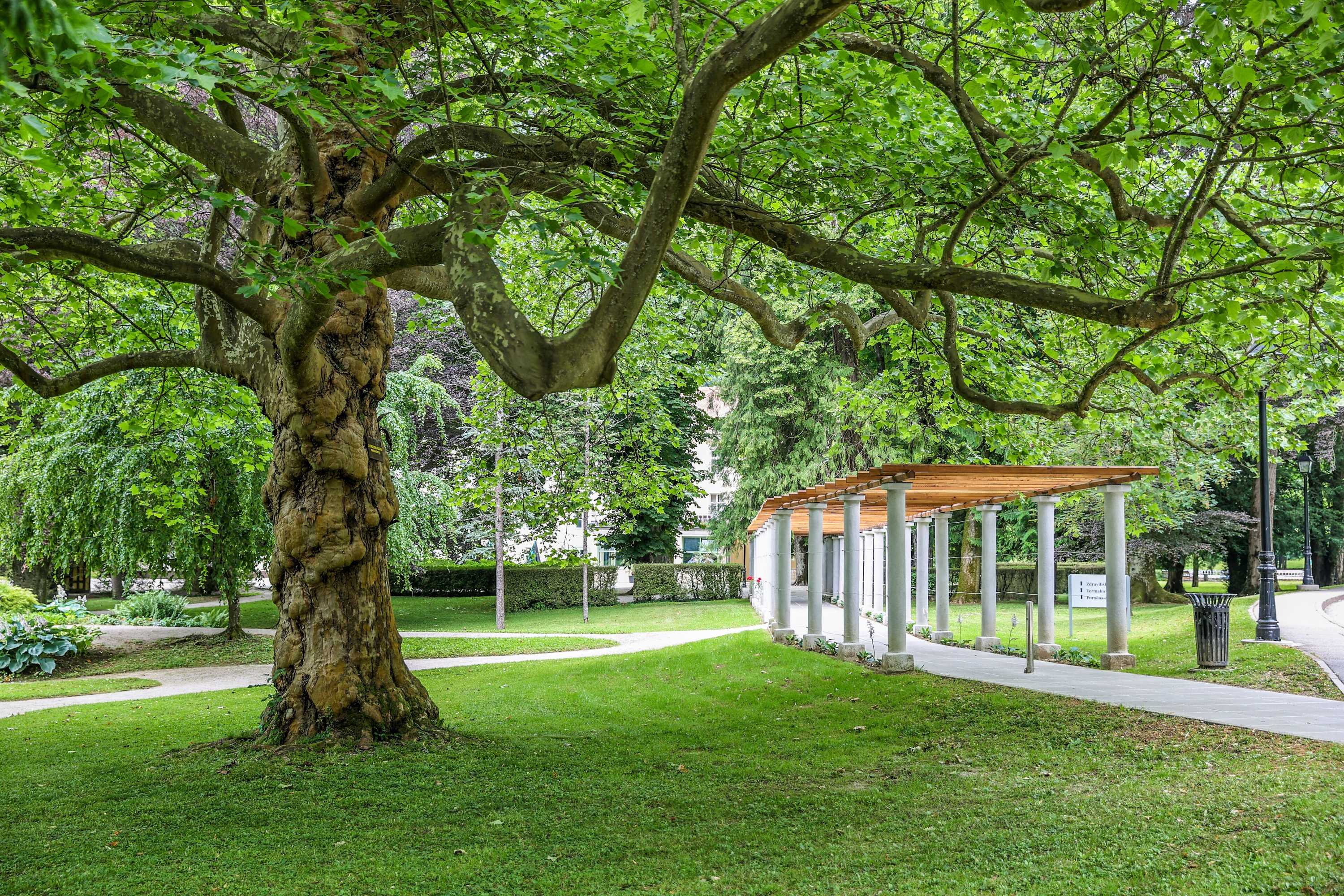 Gift card for Boutique Hotel Dobrna - Terme Dobrna Gift card for Boutique Hotel Dobrna - Terme Dobrna