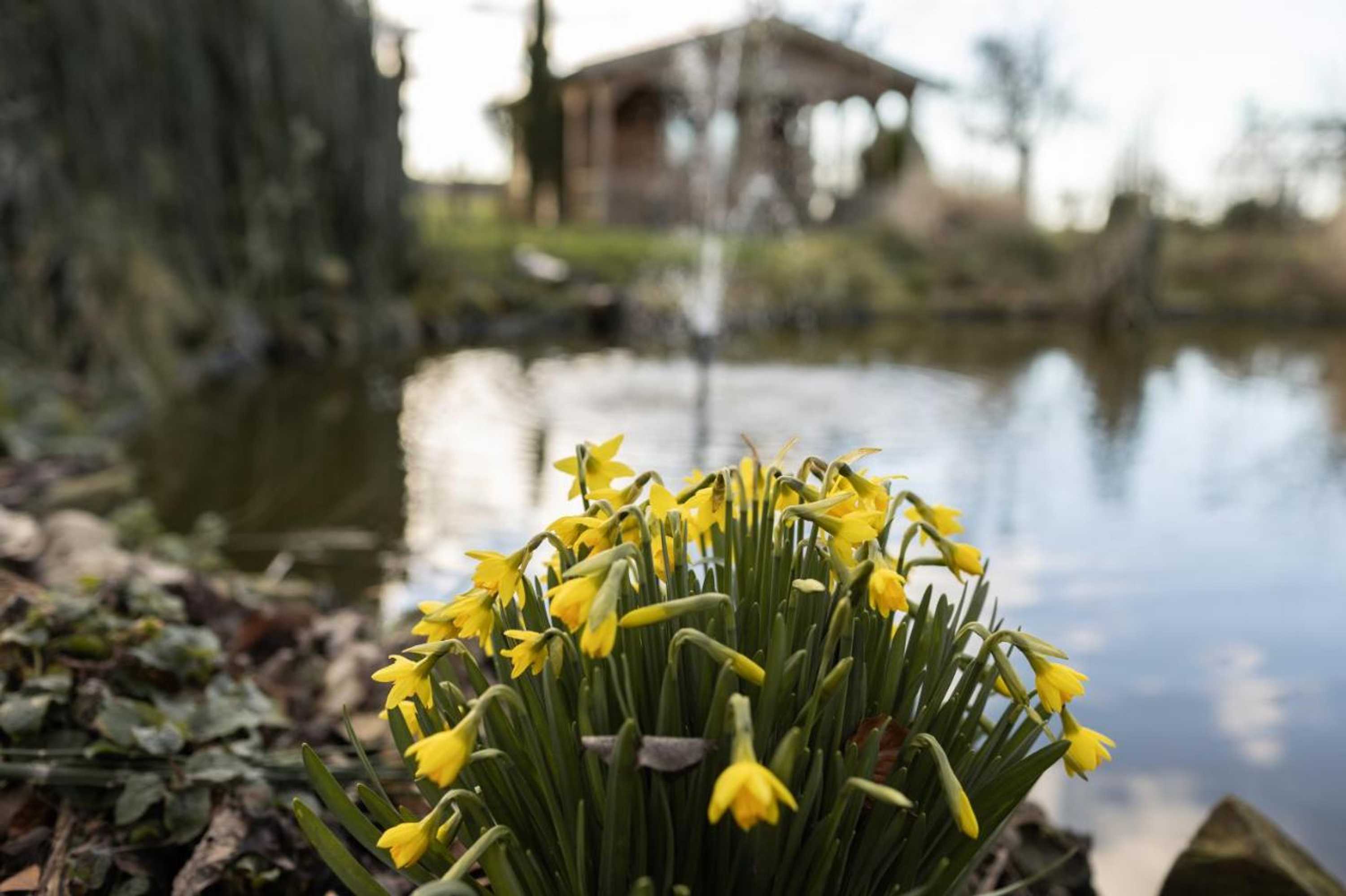 Gift card for B&b Ben in Broek