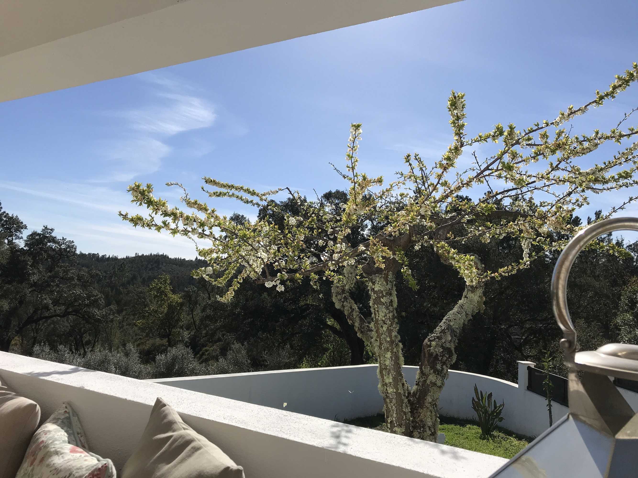 Gift card for Casa da Oliveira