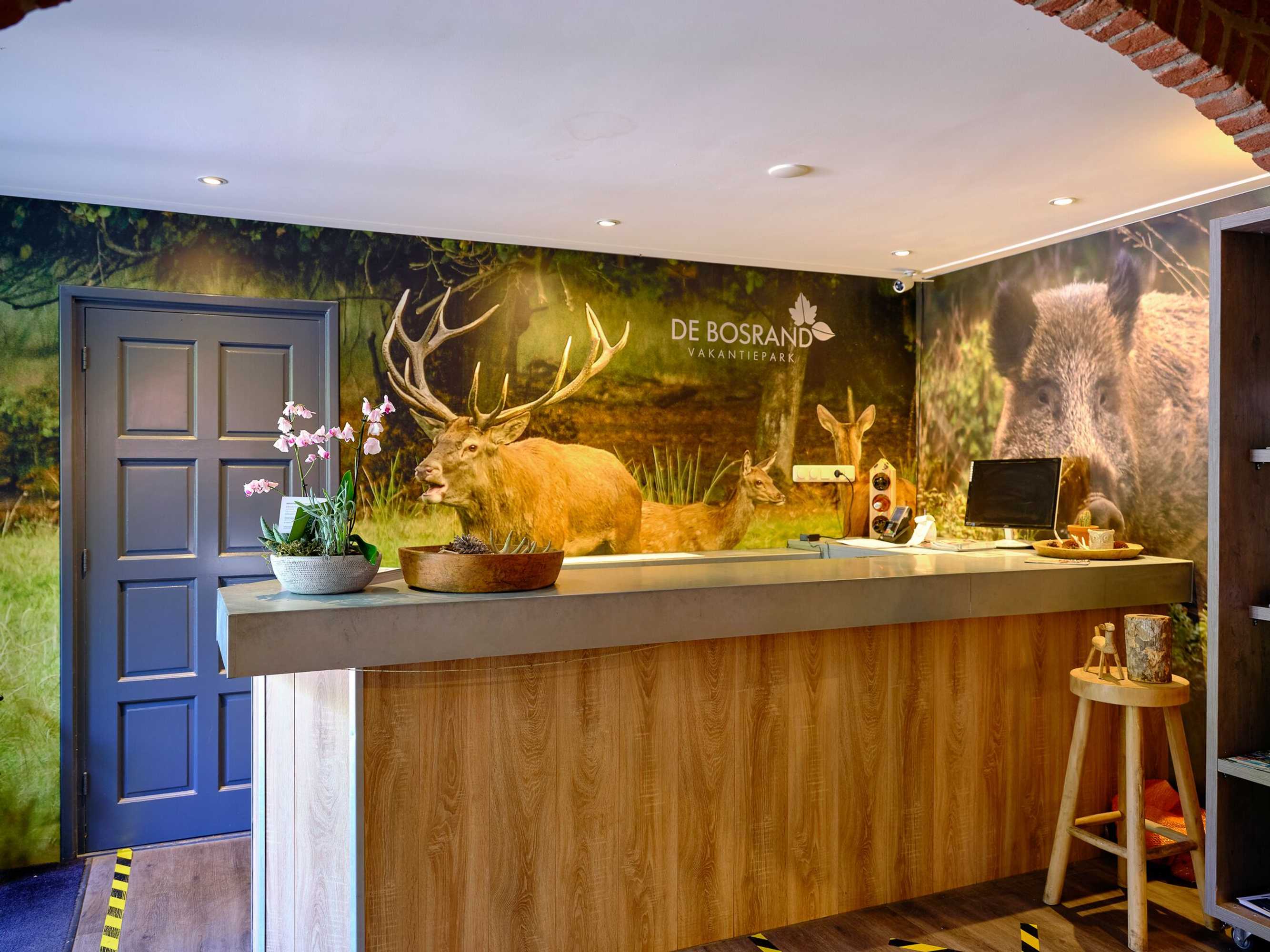 Gift card for Vakantiepark De Bosrand Gift card for Vakantiepark De Bosrand
