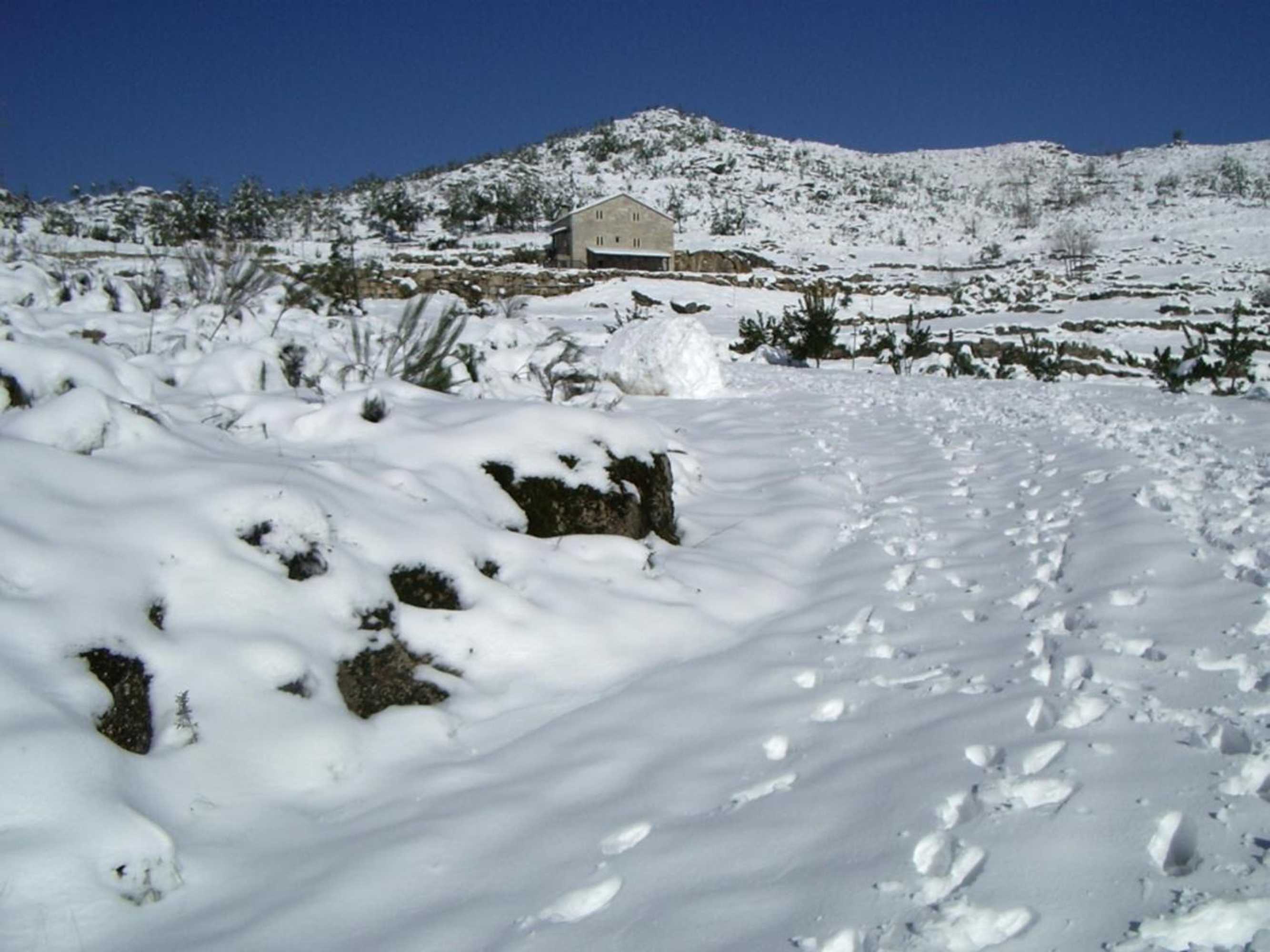 Gift card for Quinta De Cabrum