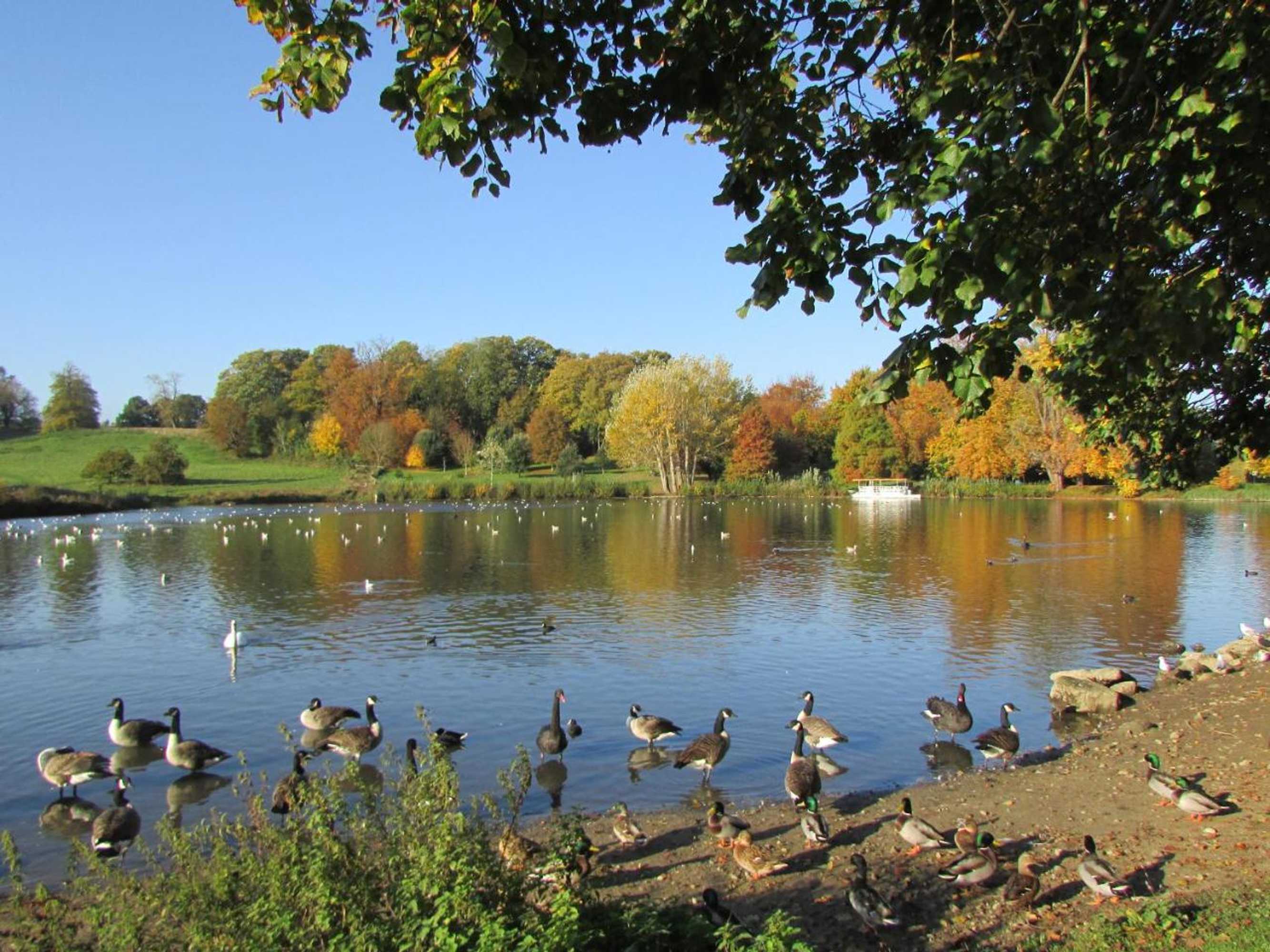 Gift card for Weir Cottage