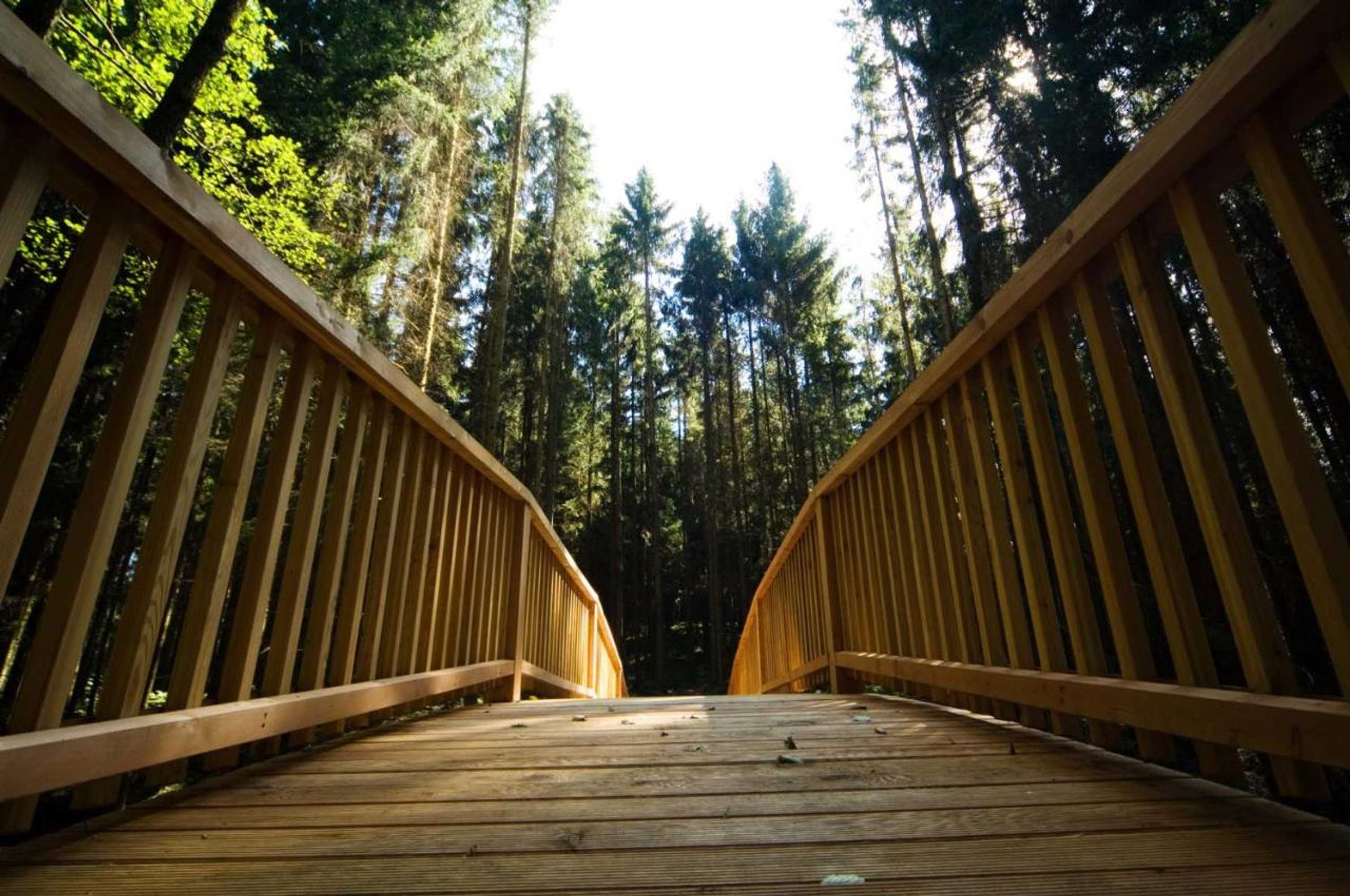 Gift card for Forstgut - Premium Waldchalets Und Lodge Suiten