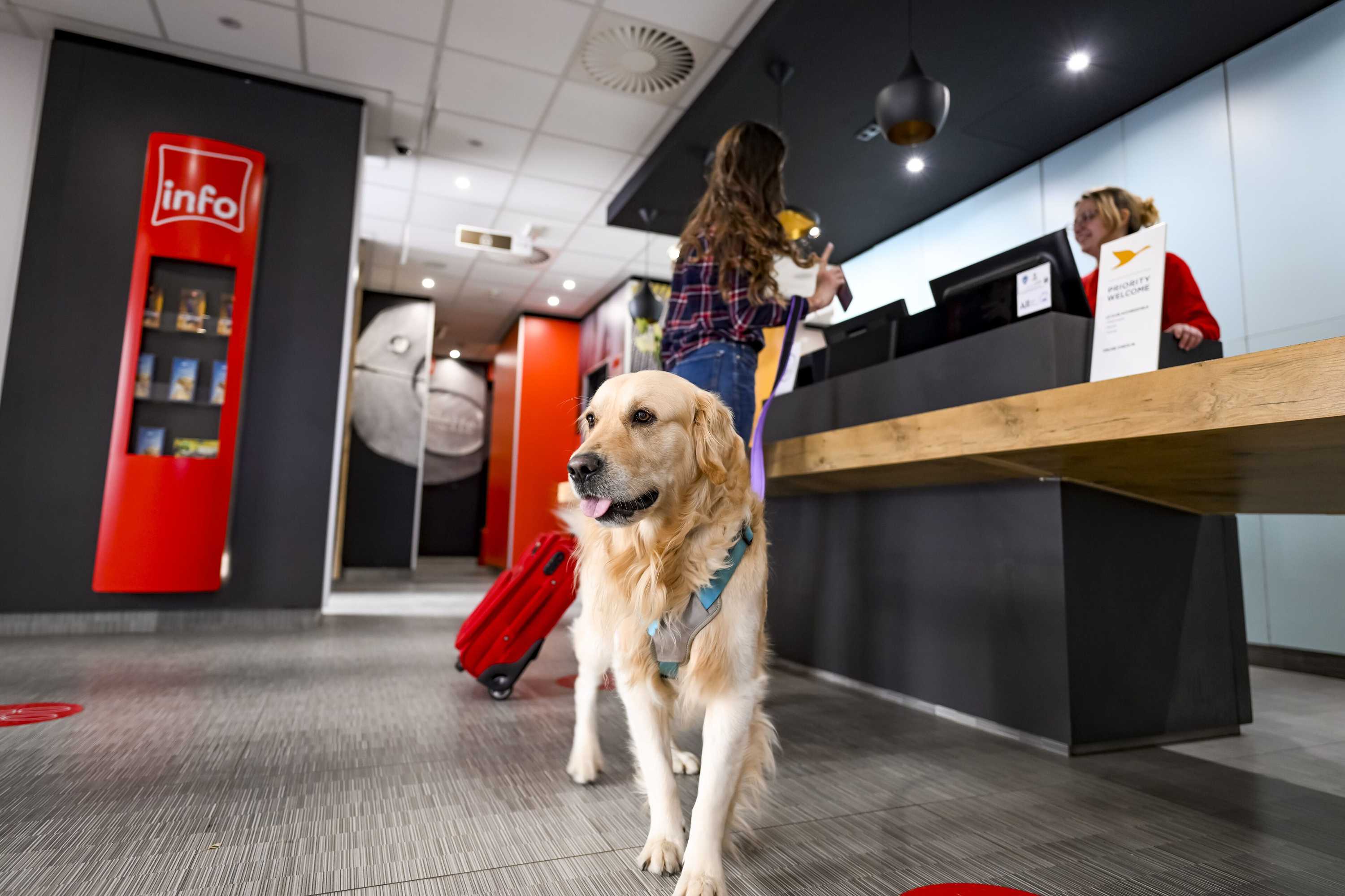 Gift card for Ibis Skopje City Center Gift card for Ibis Skopje City Center