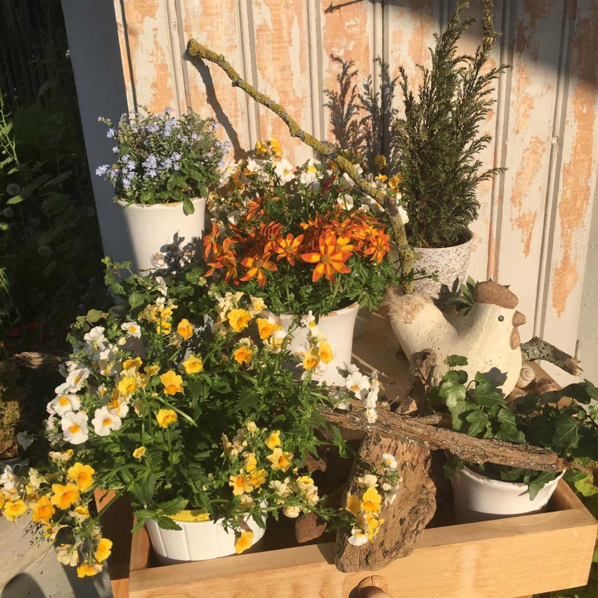 Gift card for Lakelodge Romanshorn