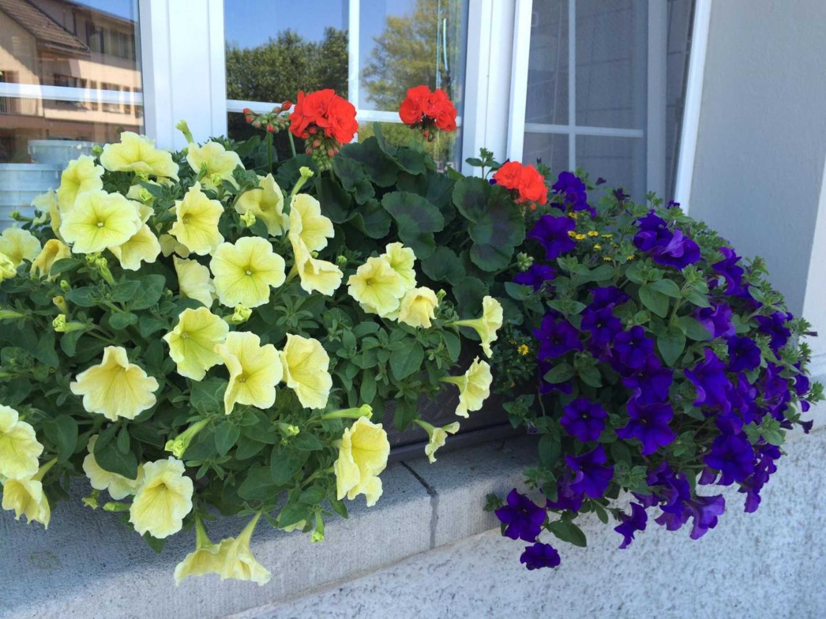 Gift card for Gasthaus Zum Bahnhof