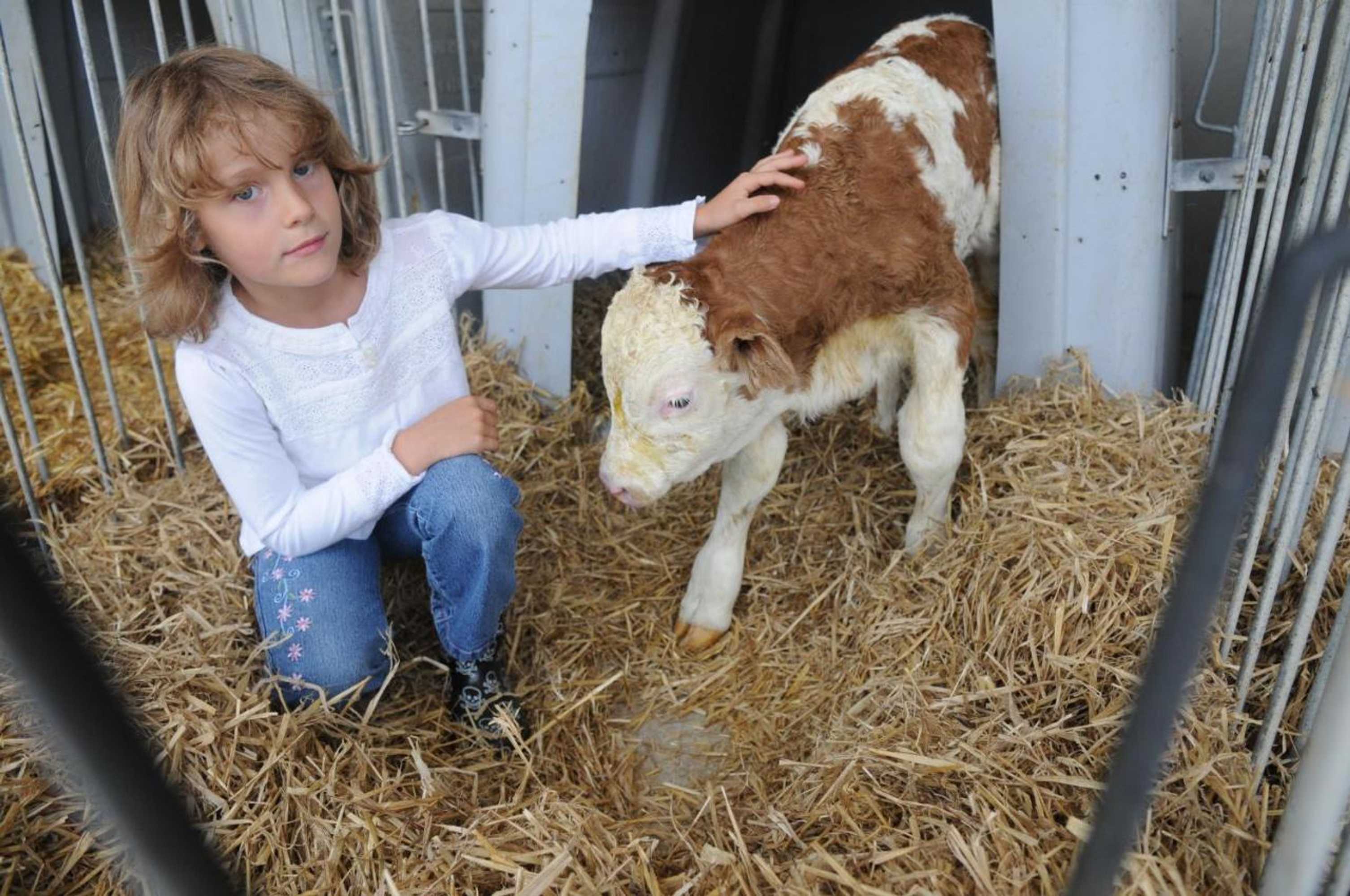 Gift card for Drexl-Hof