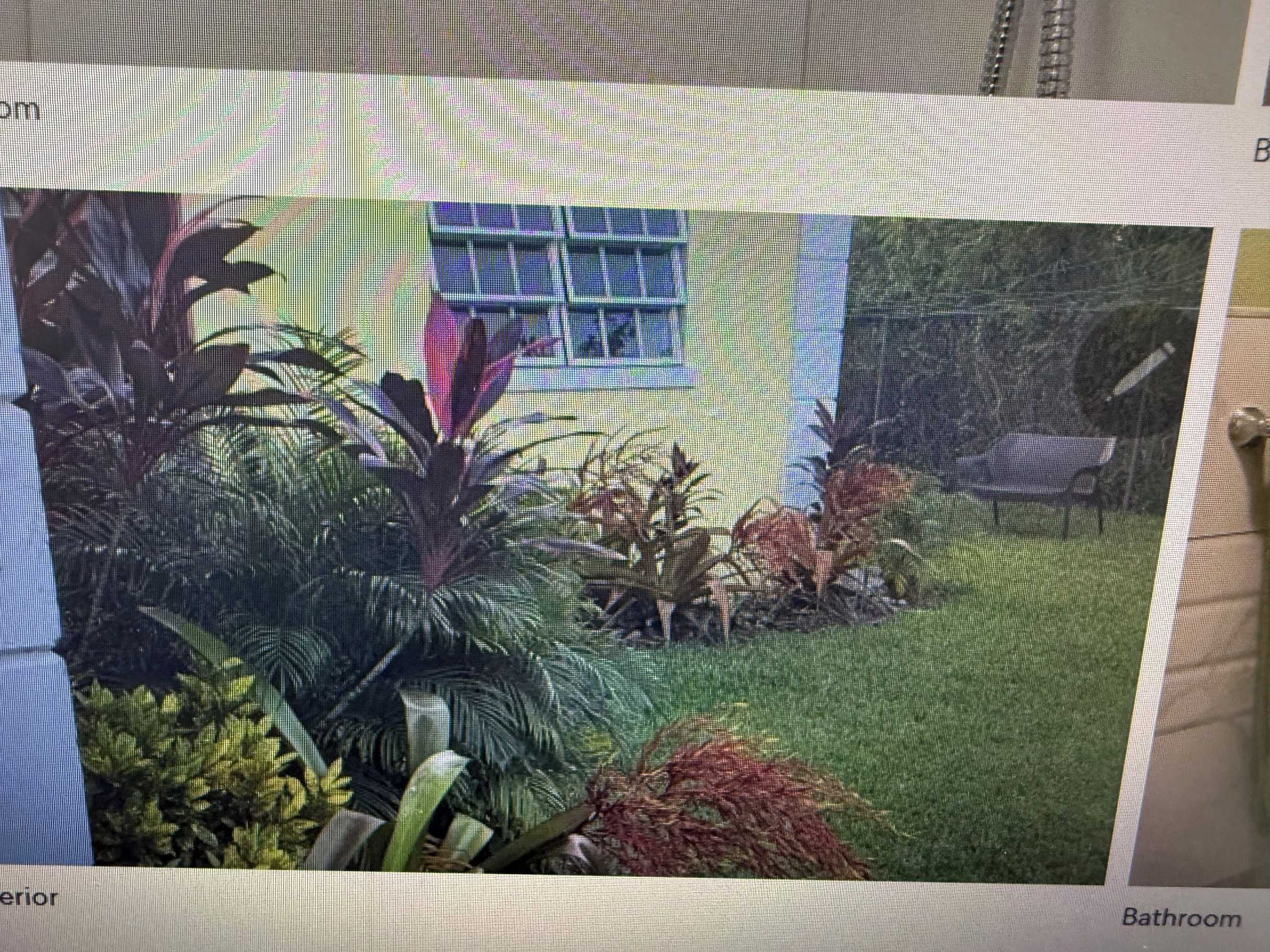 Gift card for Kozy Bahamas Getaway Gift card for Kozy Bahamas Getaway