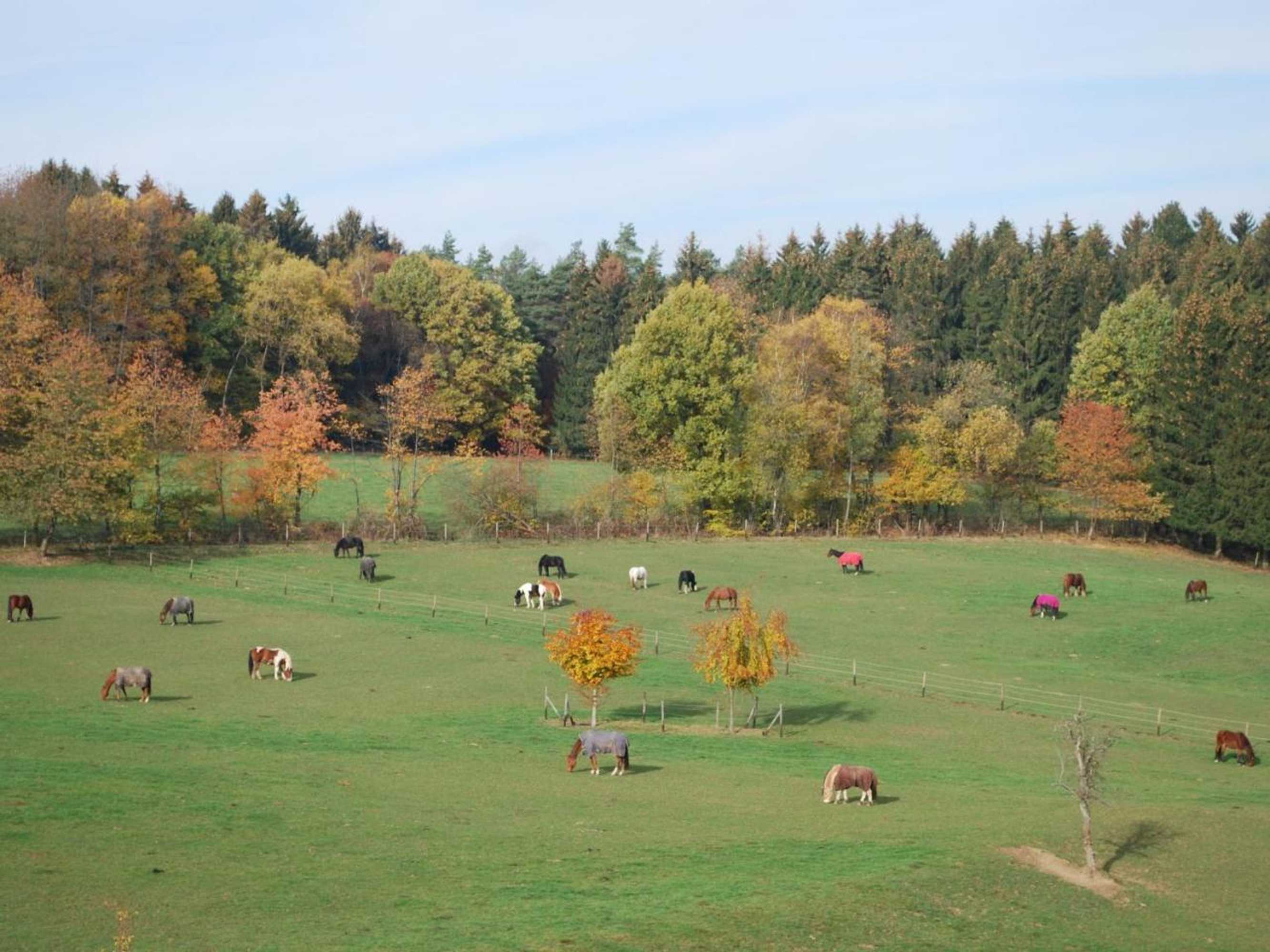 Gift card for Stöltings Landhaus
