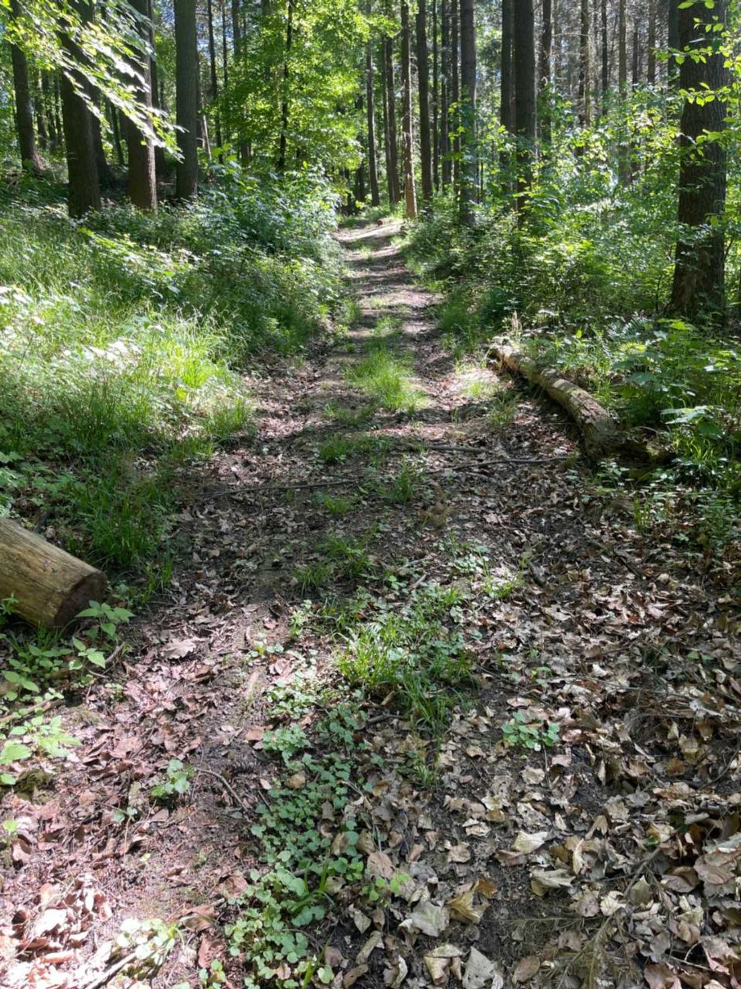 Gift card for Hotel Gästehaus Sonne