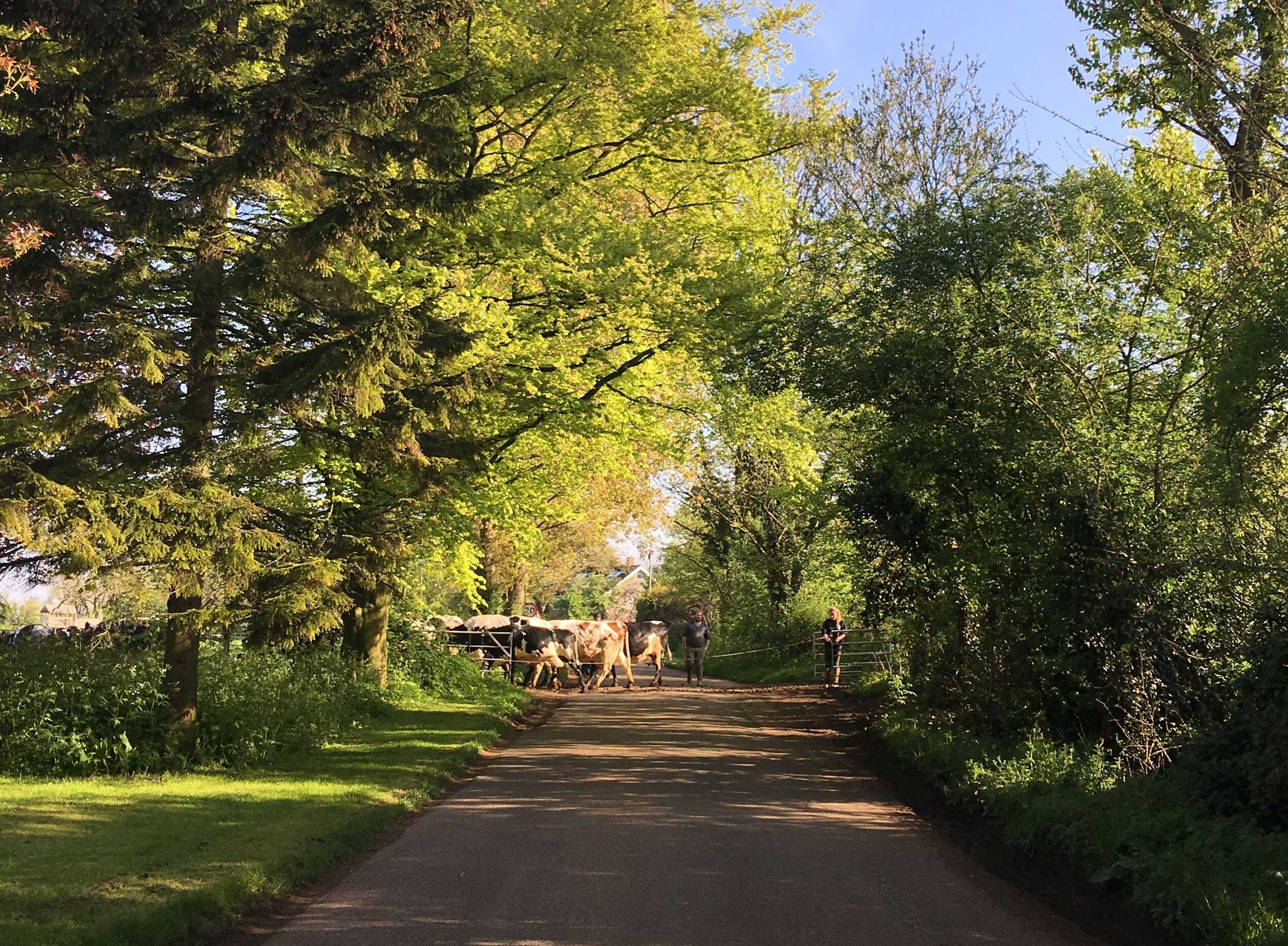 Gift card for Garden Barn