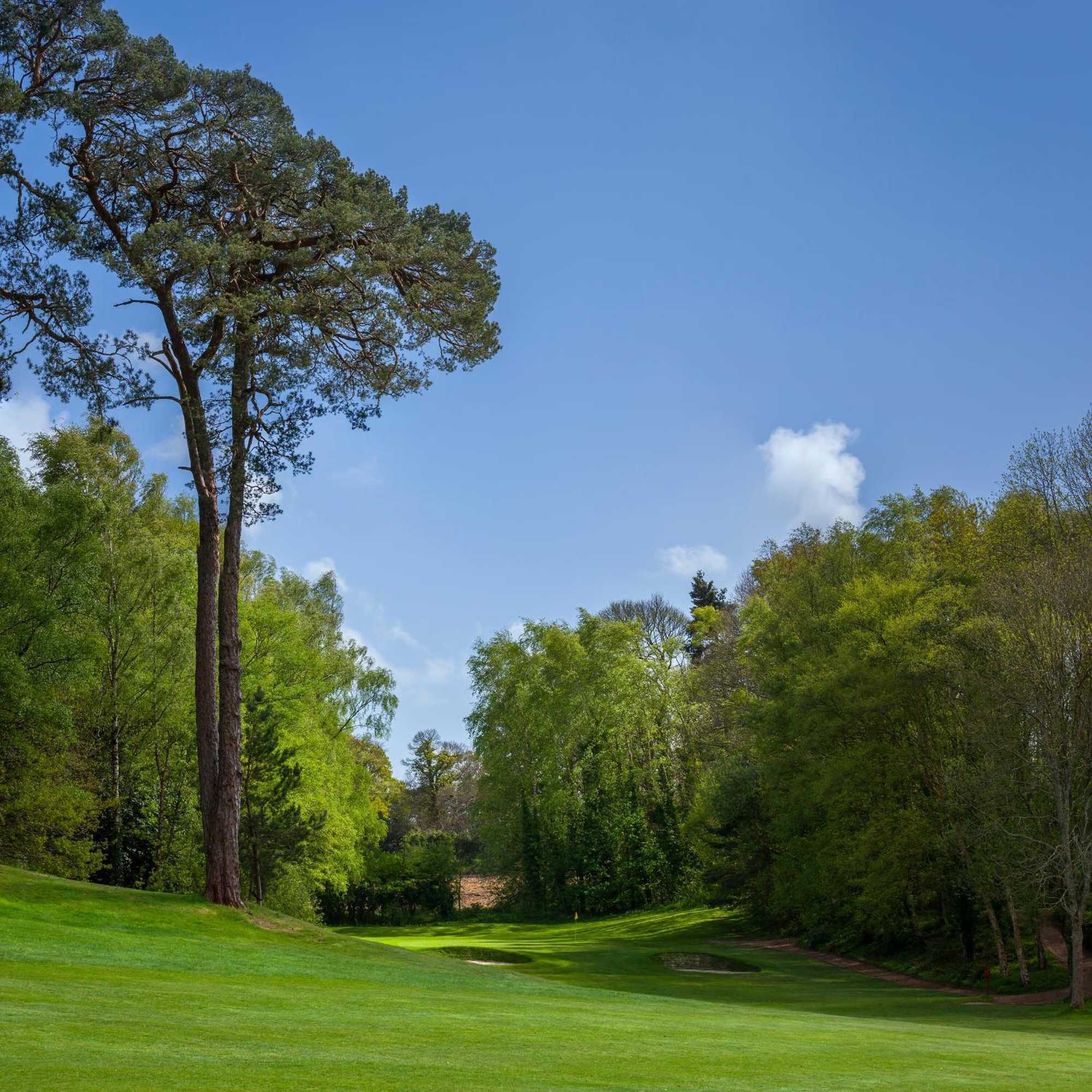 Gift card for Meon Valley Hotel, Golf & Country Club Gift card for Meon Valley Hotel, Golf & Country Club