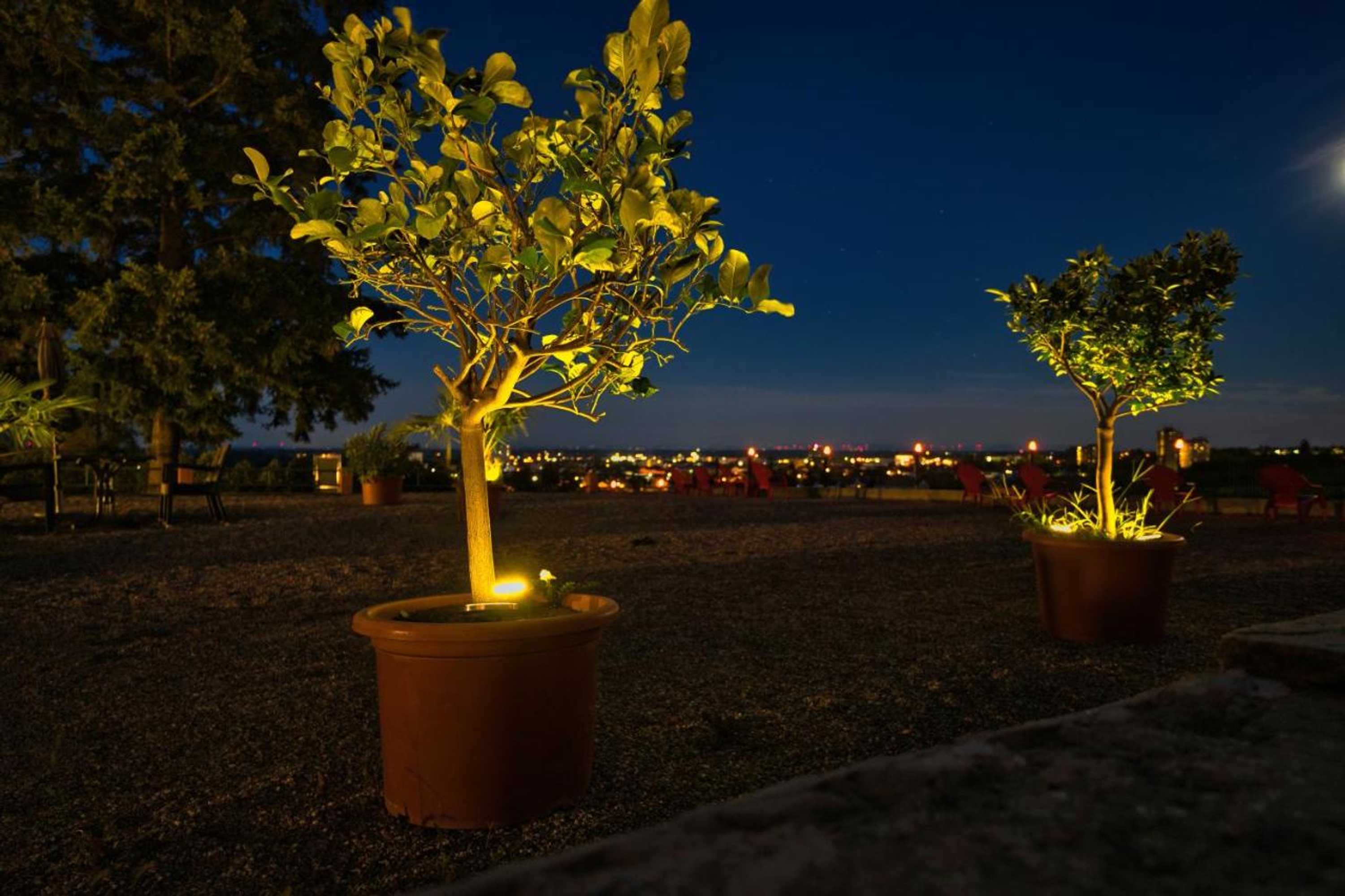 Gift card for Hotel Tenner