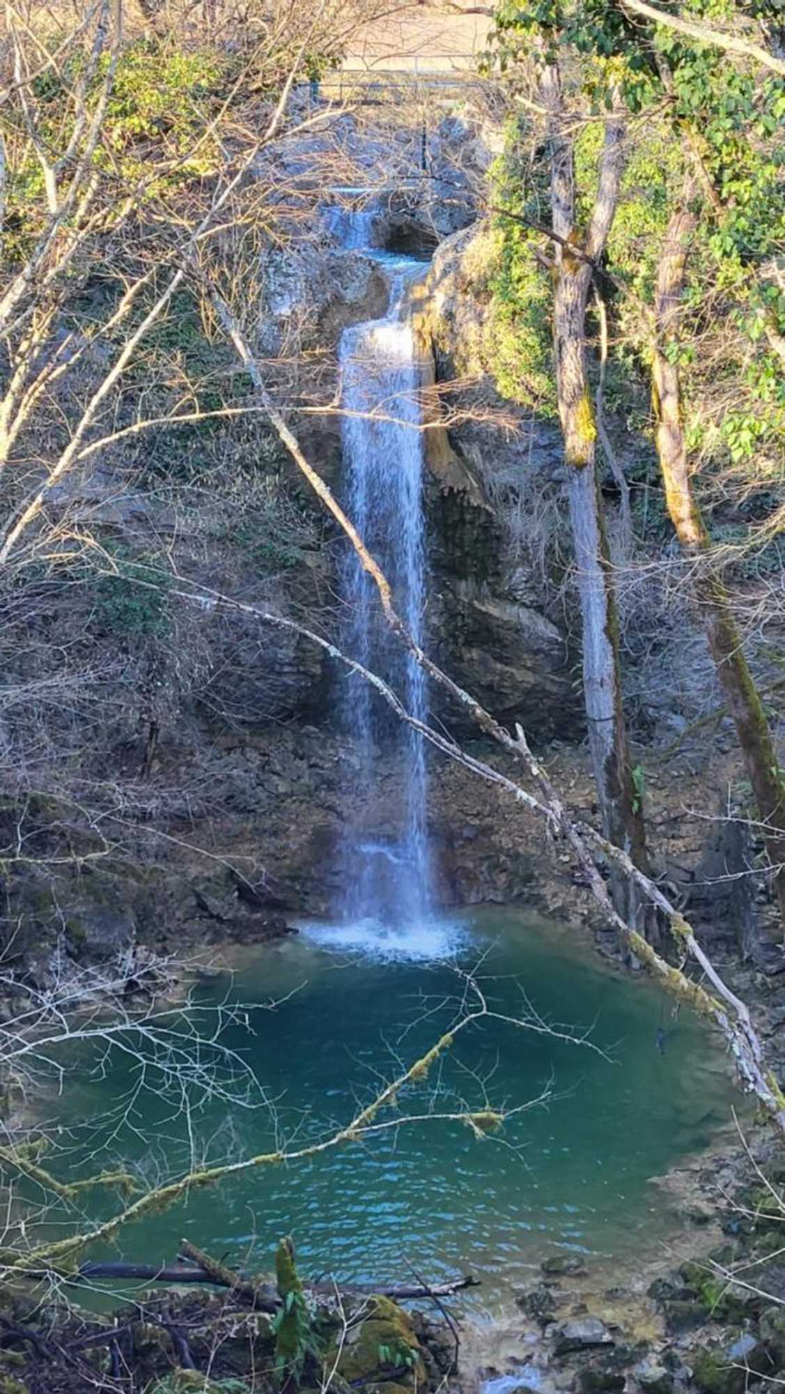 Gift card for Villa San Vito - Tilia, Olea, Rosmarinus