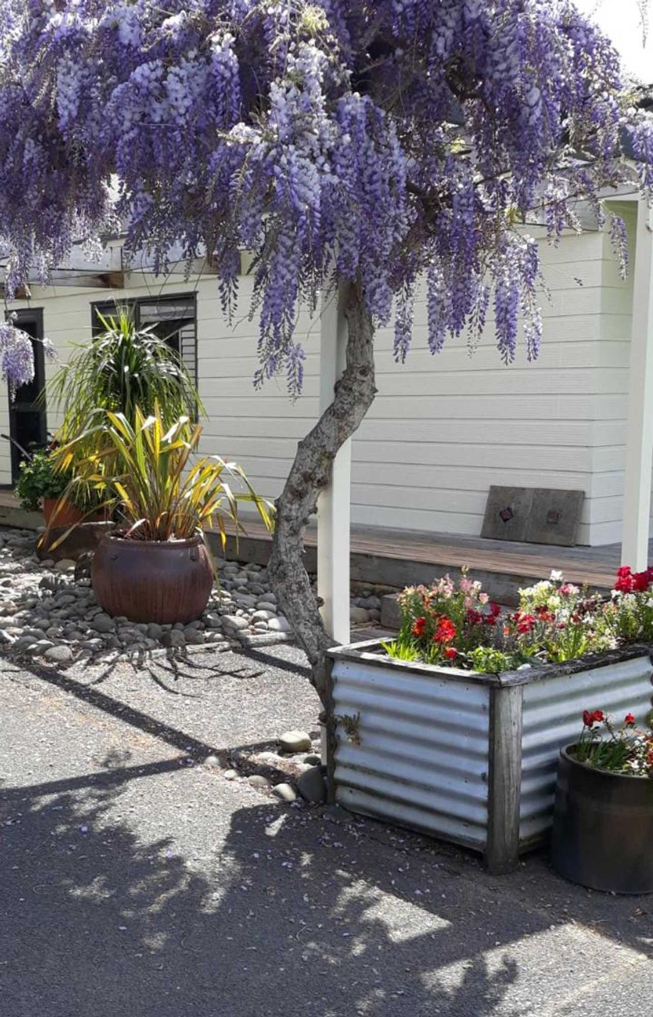 Gift card for Rural Palms