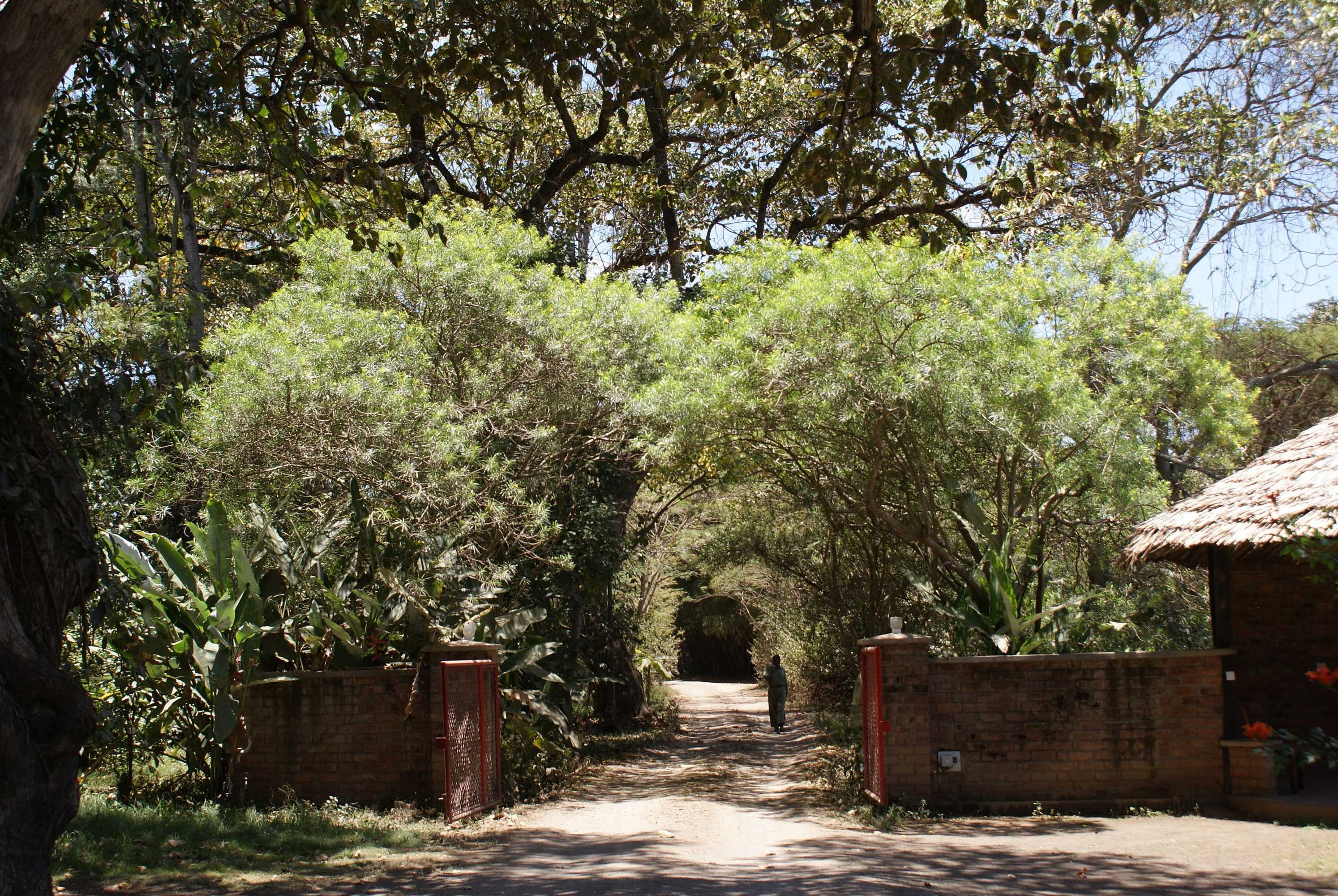 Gift card for Moivaro Coffee Plantation Lodge Gift card for Moivaro Coffee Plantation Lodge