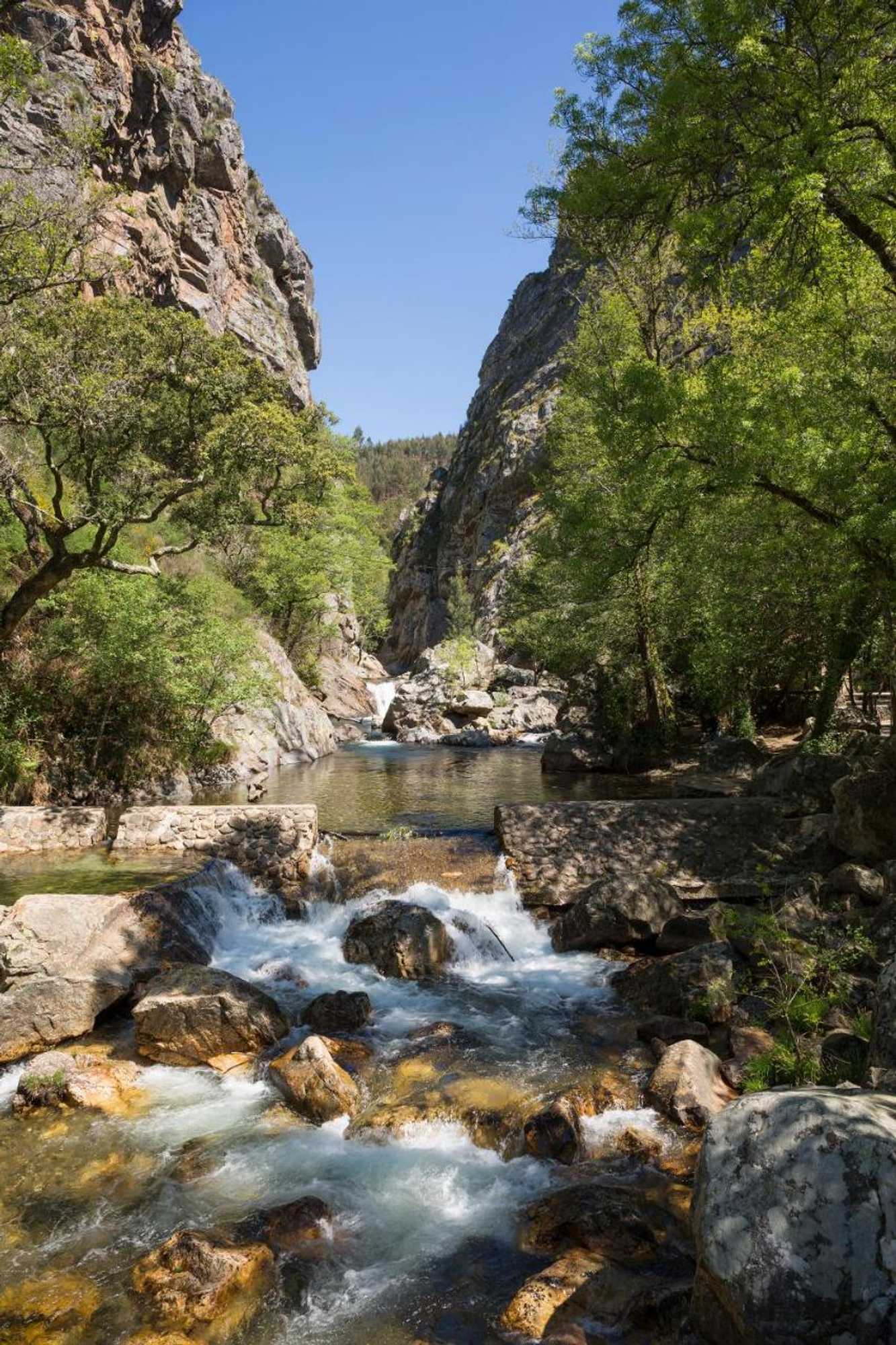 Gift card for Casa Do Ze Sapateiro