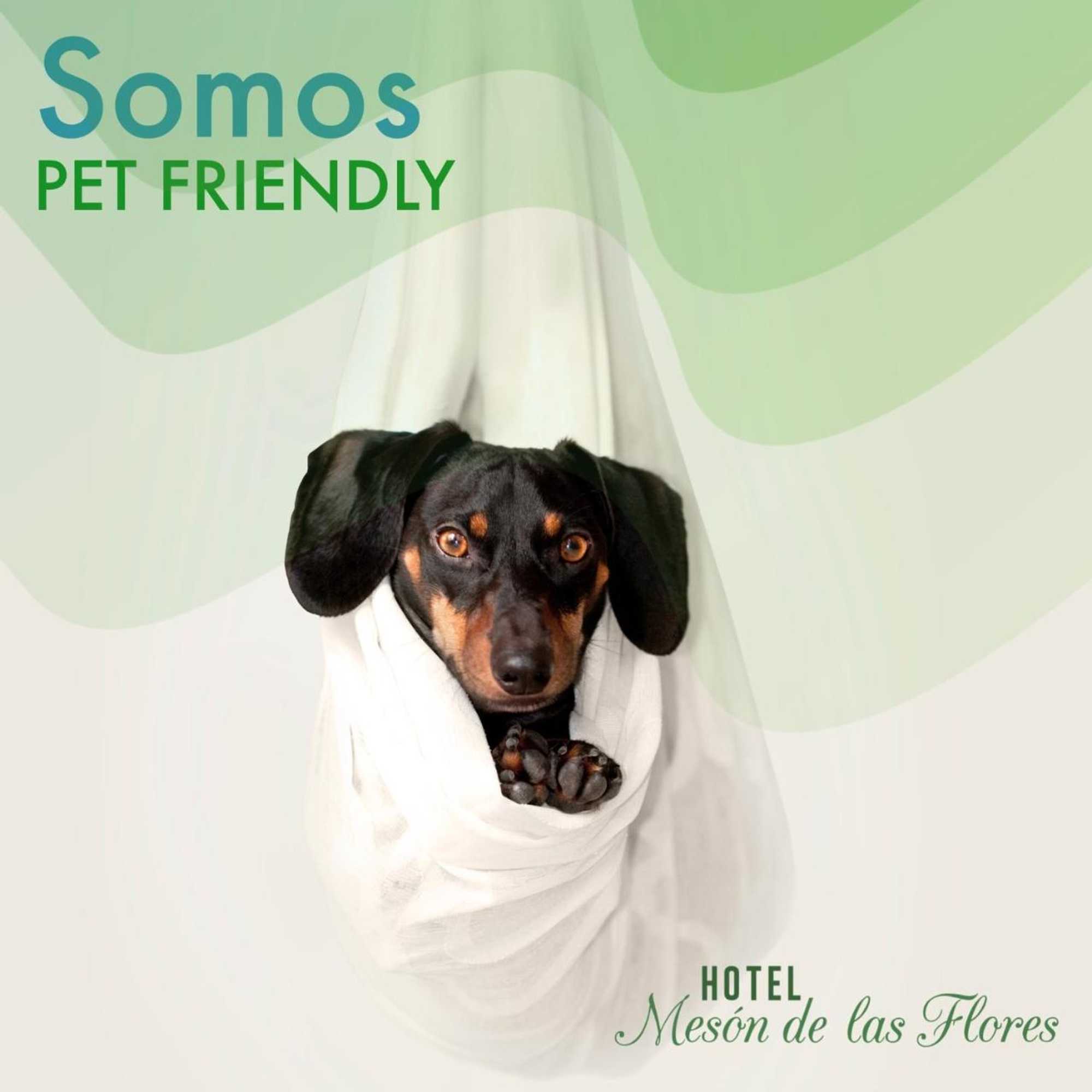 Gift card for Hotel el Meson de Las Flores