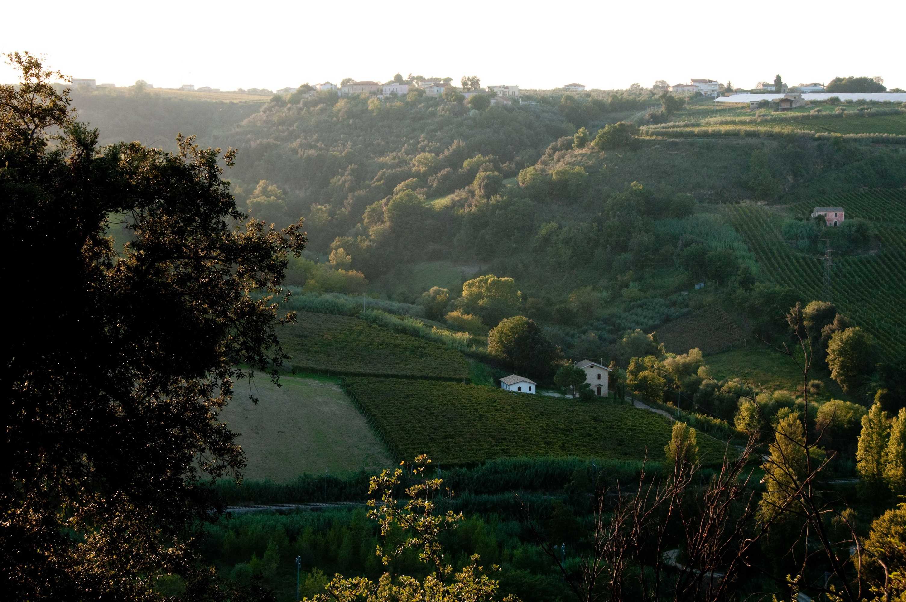 Gift card for Agriturismo Casa Dell'orto Gift card for Agriturismo Casa Dell'orto