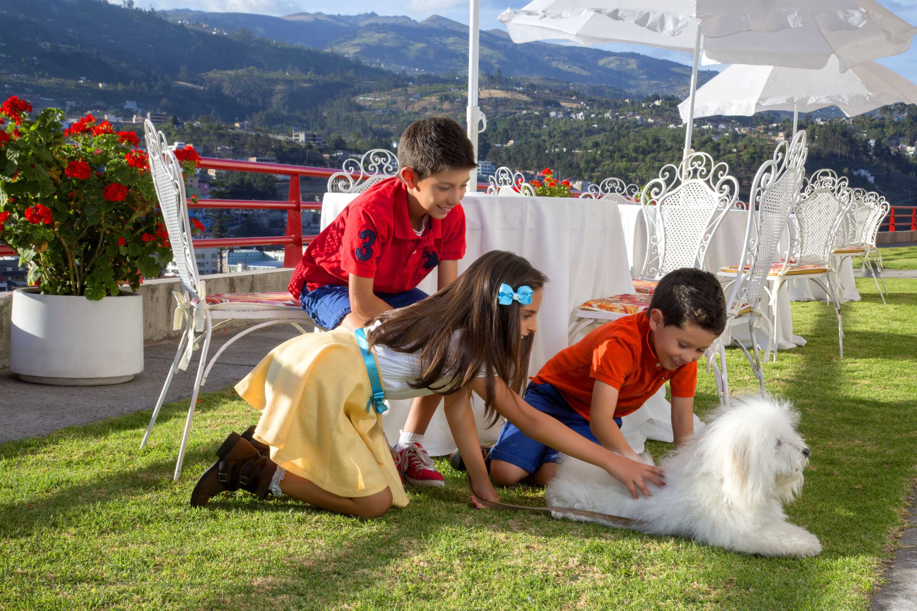 Gift card for Hotel Ambato Gift card for Hotel Ambato