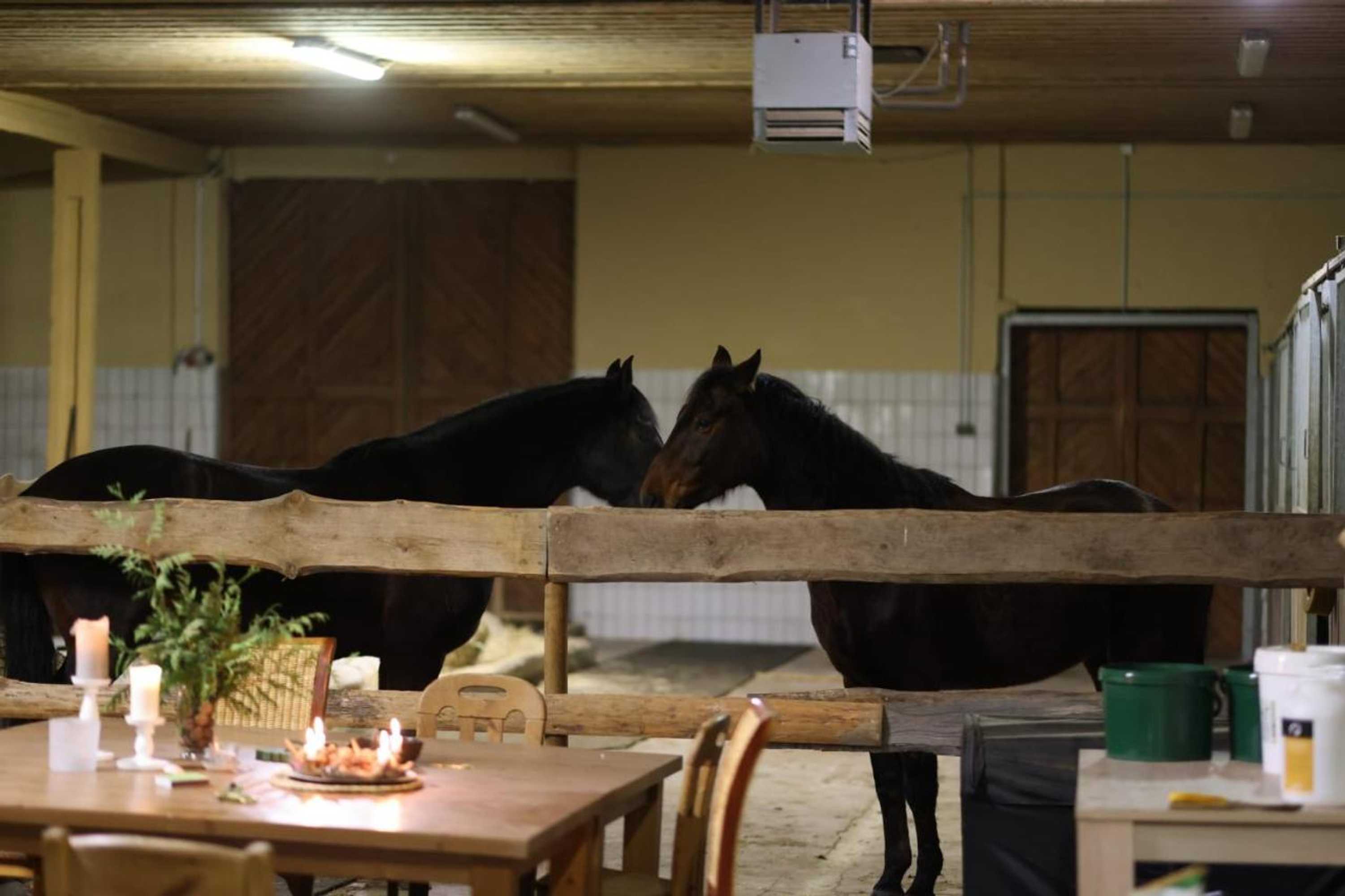 Gift card for Vanilla Hof