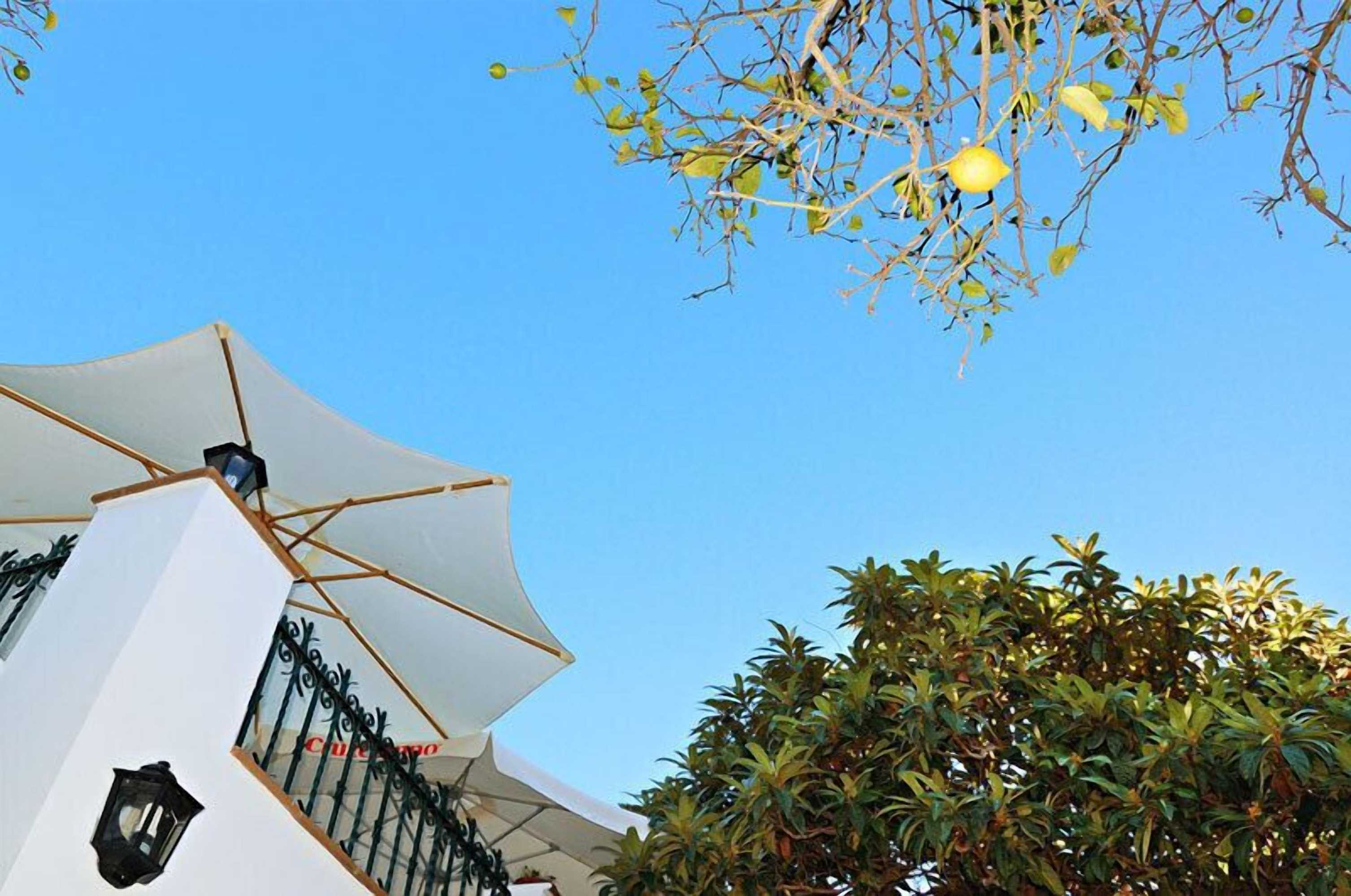 Gift card for Hostal La Posada de Conil Gift card for Hostal La Posada de Conil