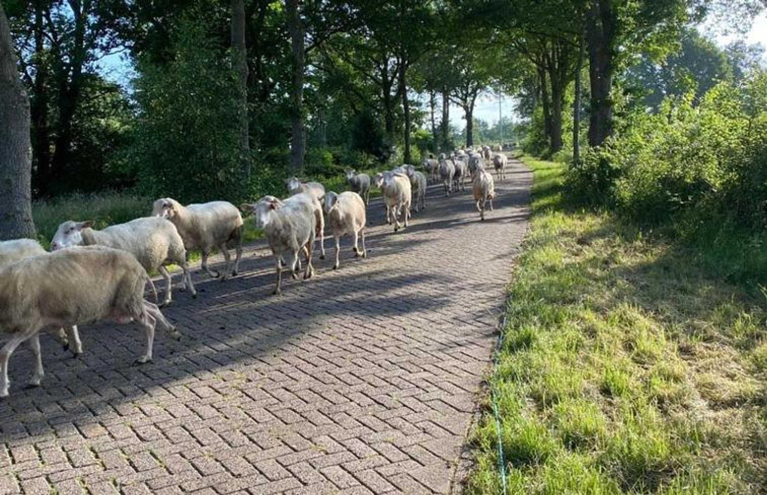 Gift card for B&b Singelstate