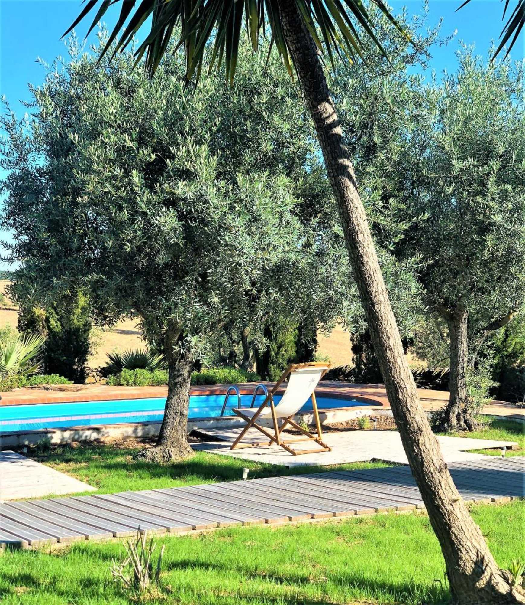 Gift card for Monte Papa Toucinho