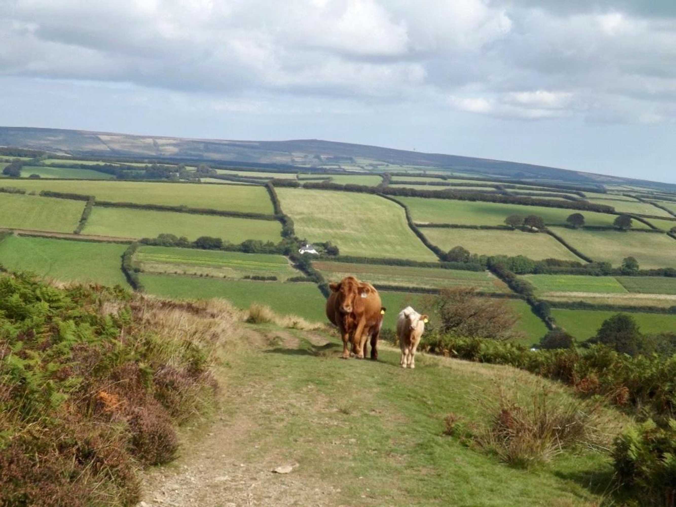 Gift card for Dairy Cottage Dulverton