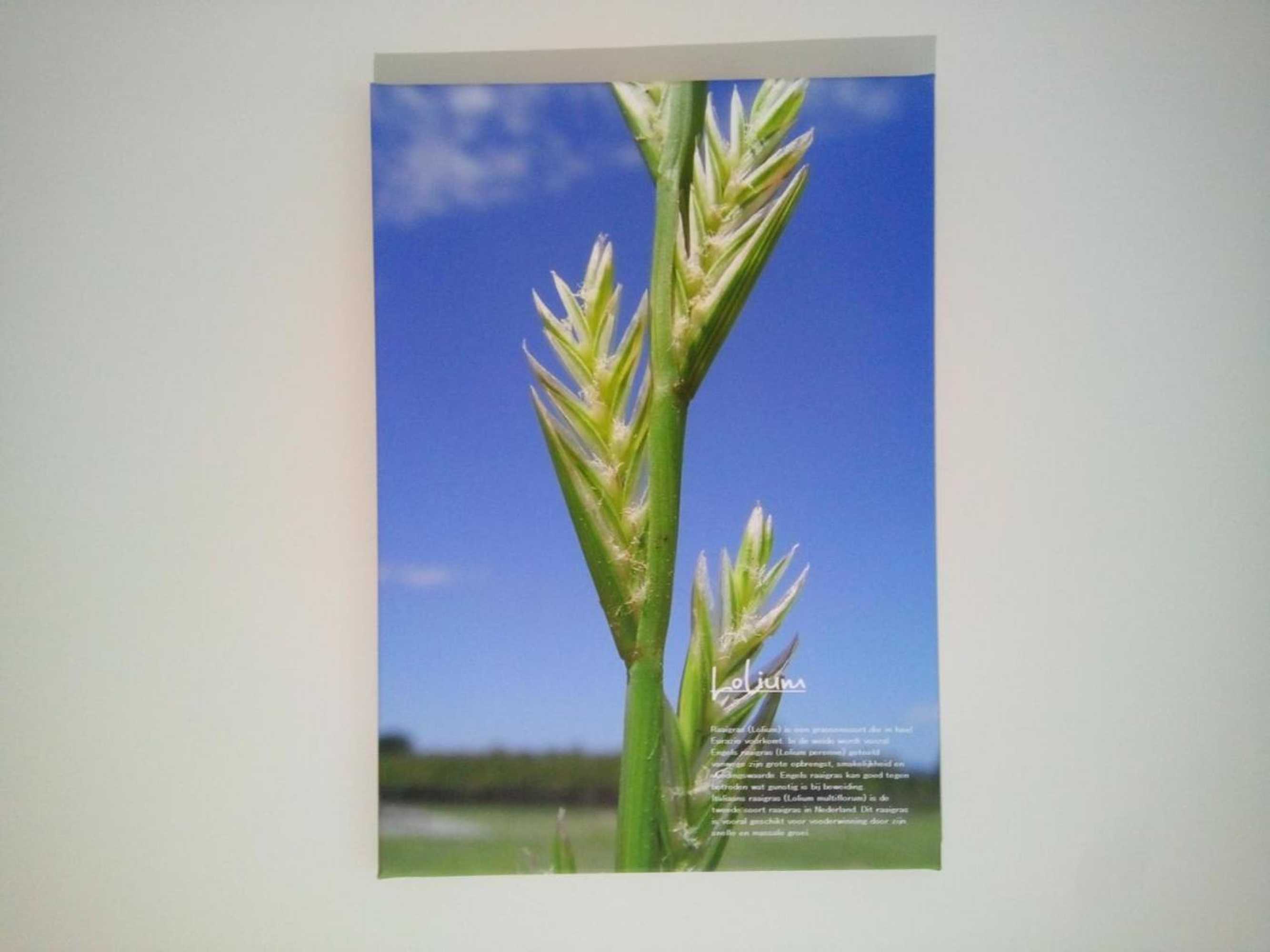 Gift card for B&b In de Wei