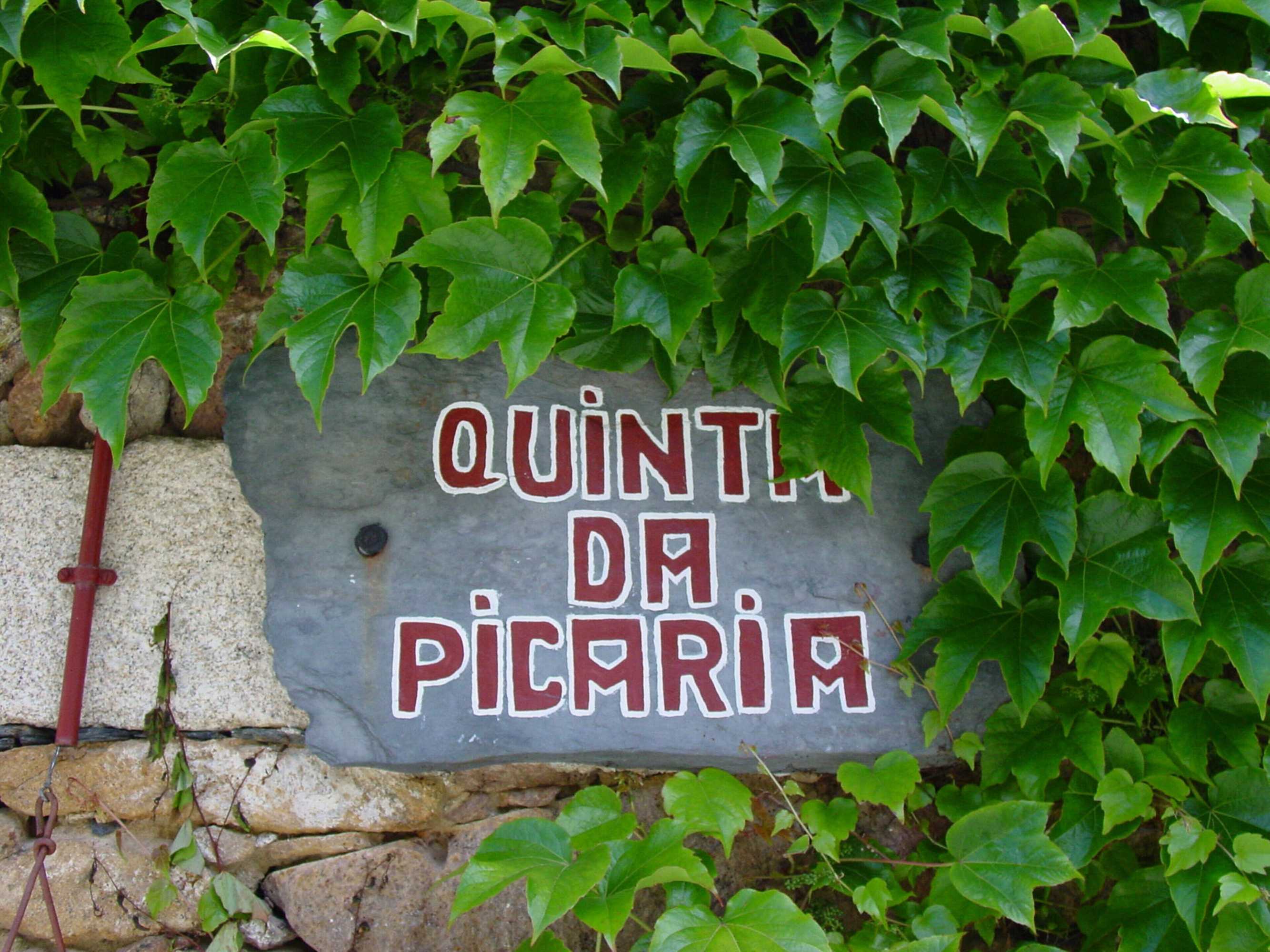 Gift card for Quinta da Picaria