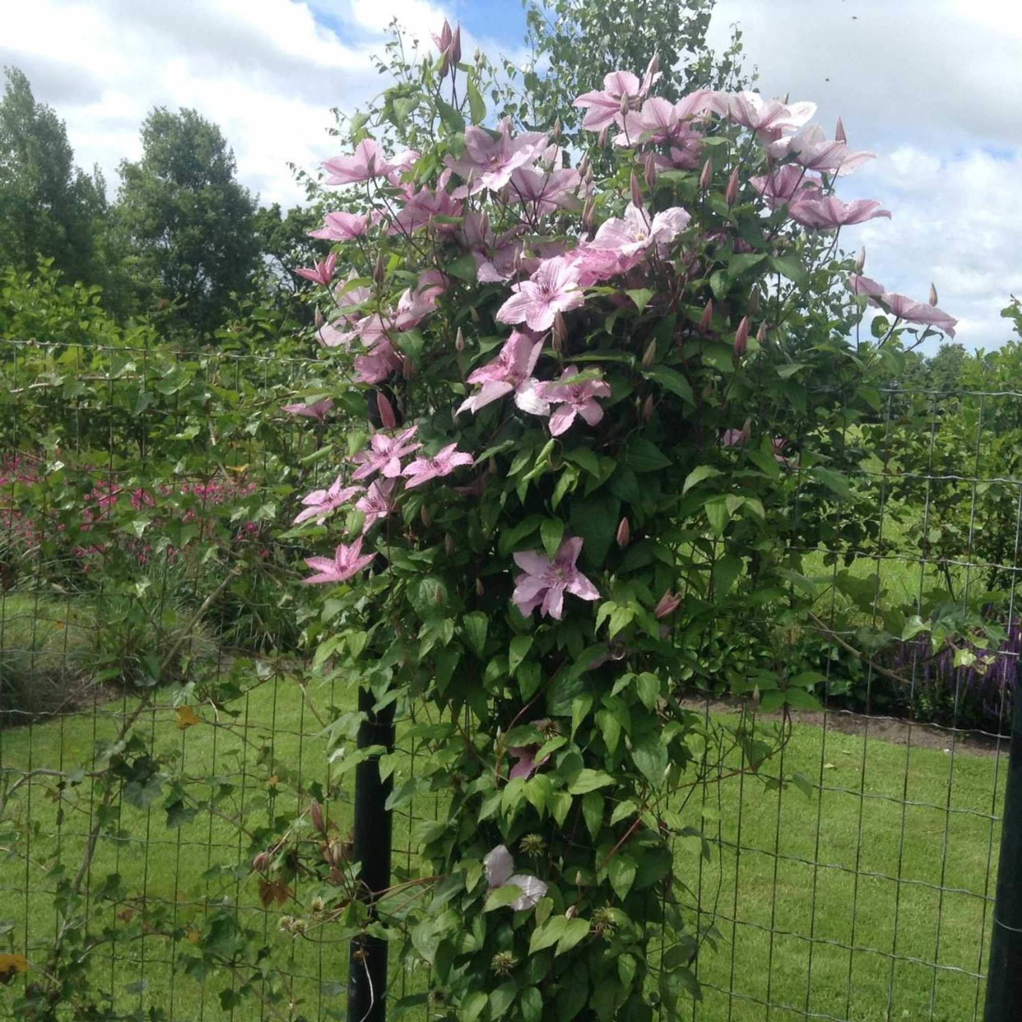 Gift card for B&b 't Landschap