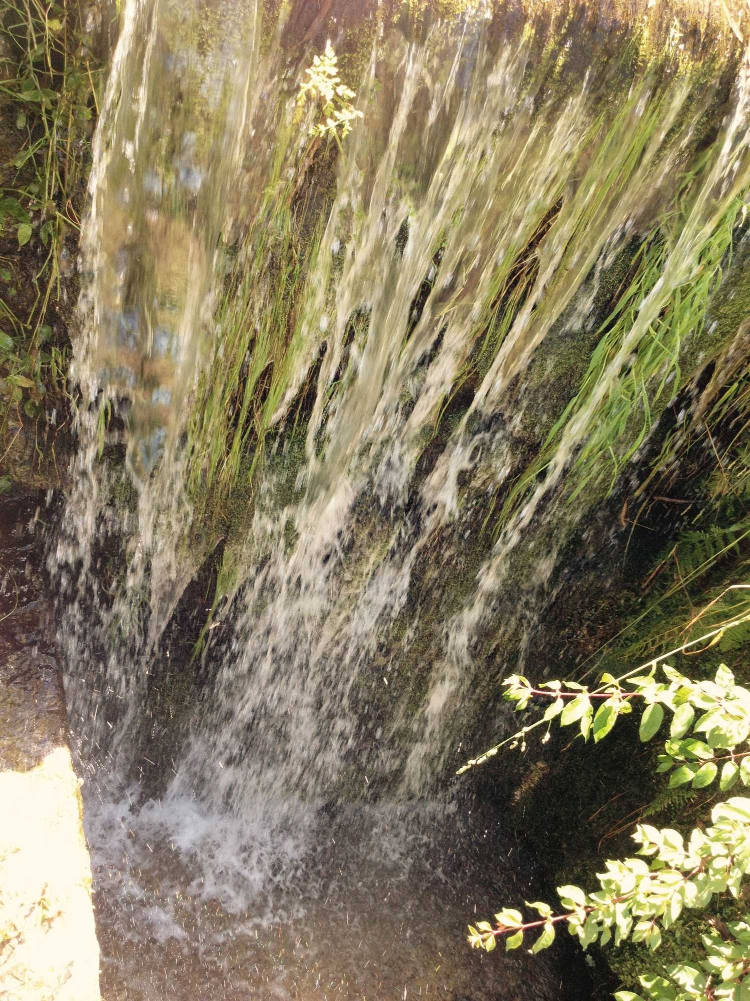 Gift card for Propriedade do Pires