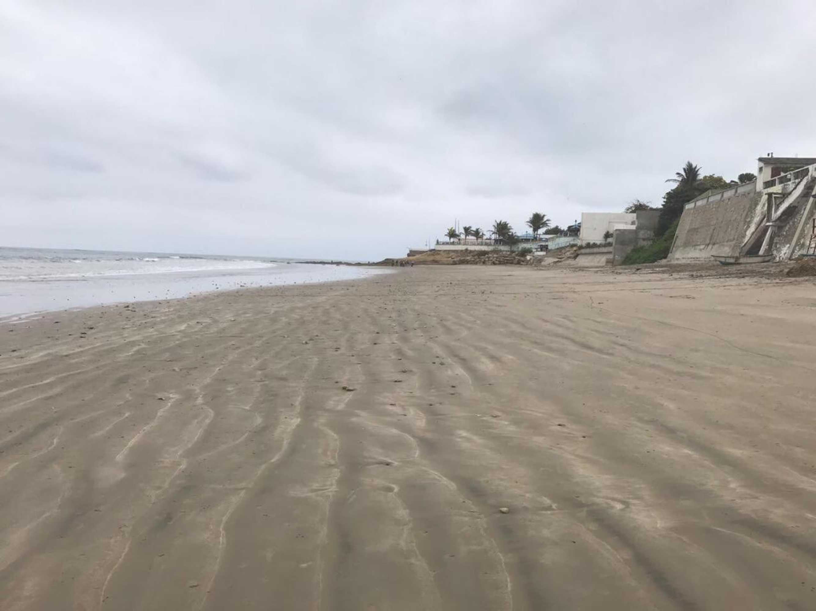 Gift card for Blackpoint Gift card for Blackpoint