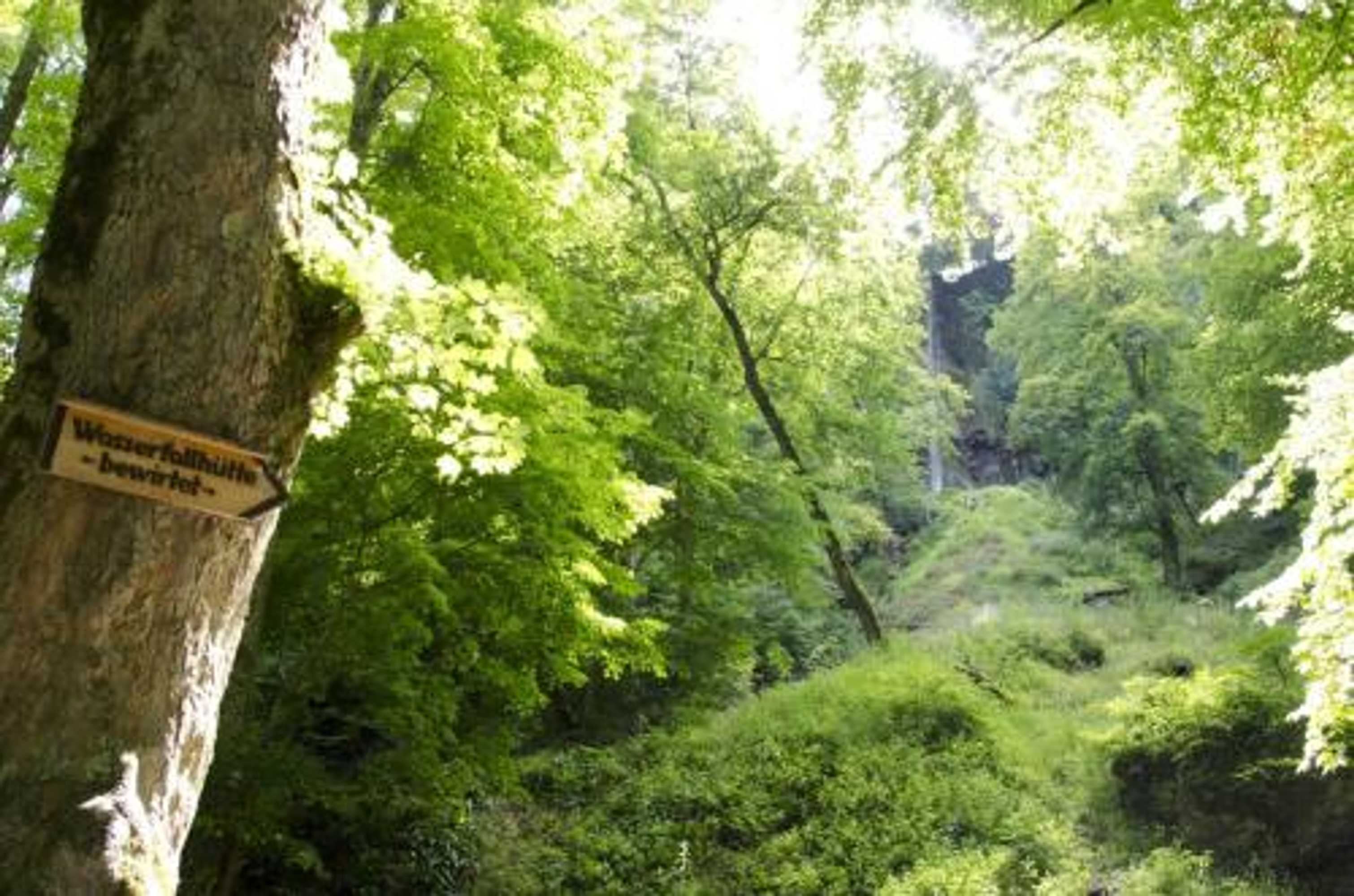 Gift card for Hof am Horn - Fewos in Der Natur Gift card for Hof am Horn - Fewos in Der Natur