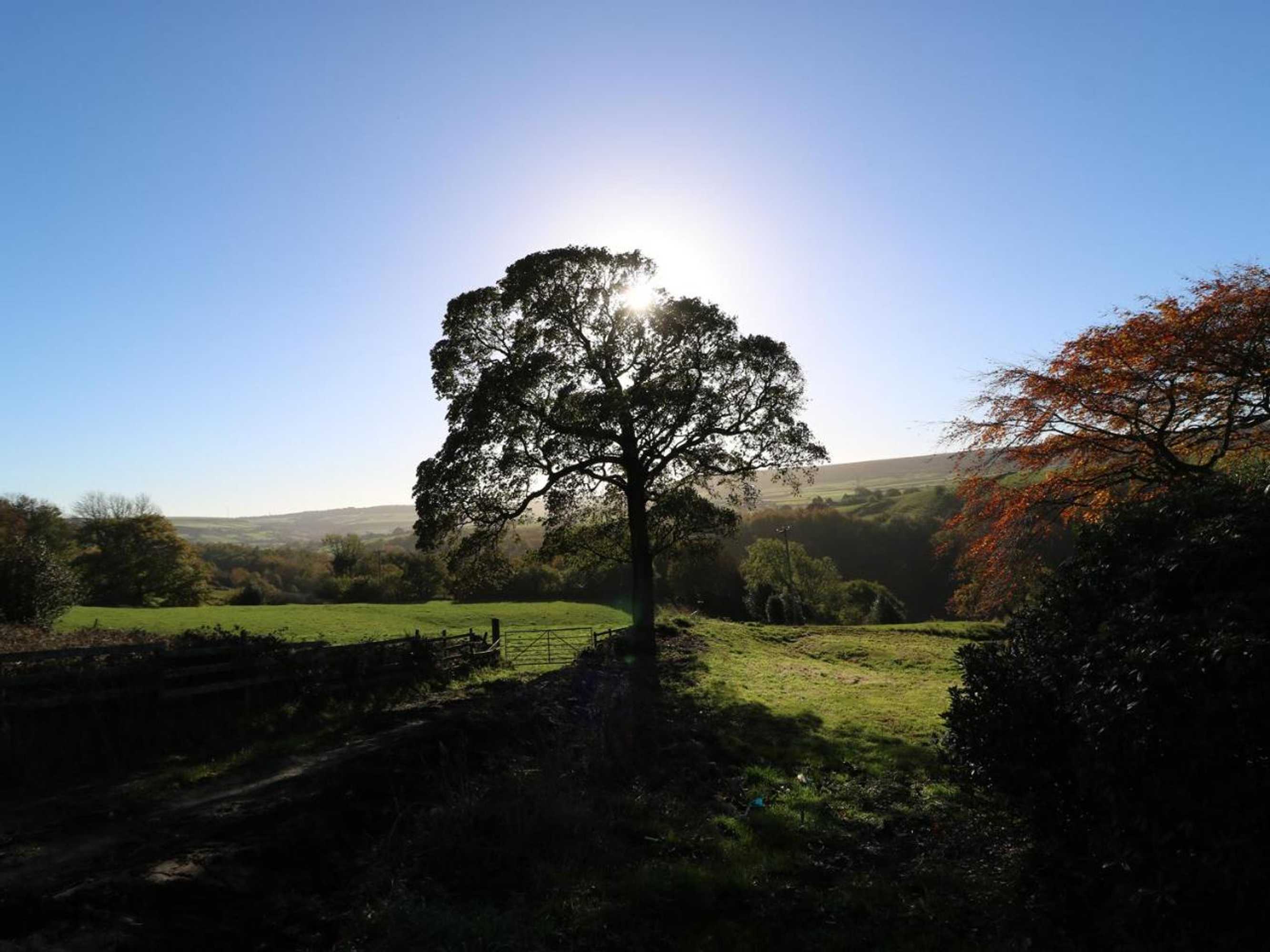 Gift card for The Cottage, Beeston Hall