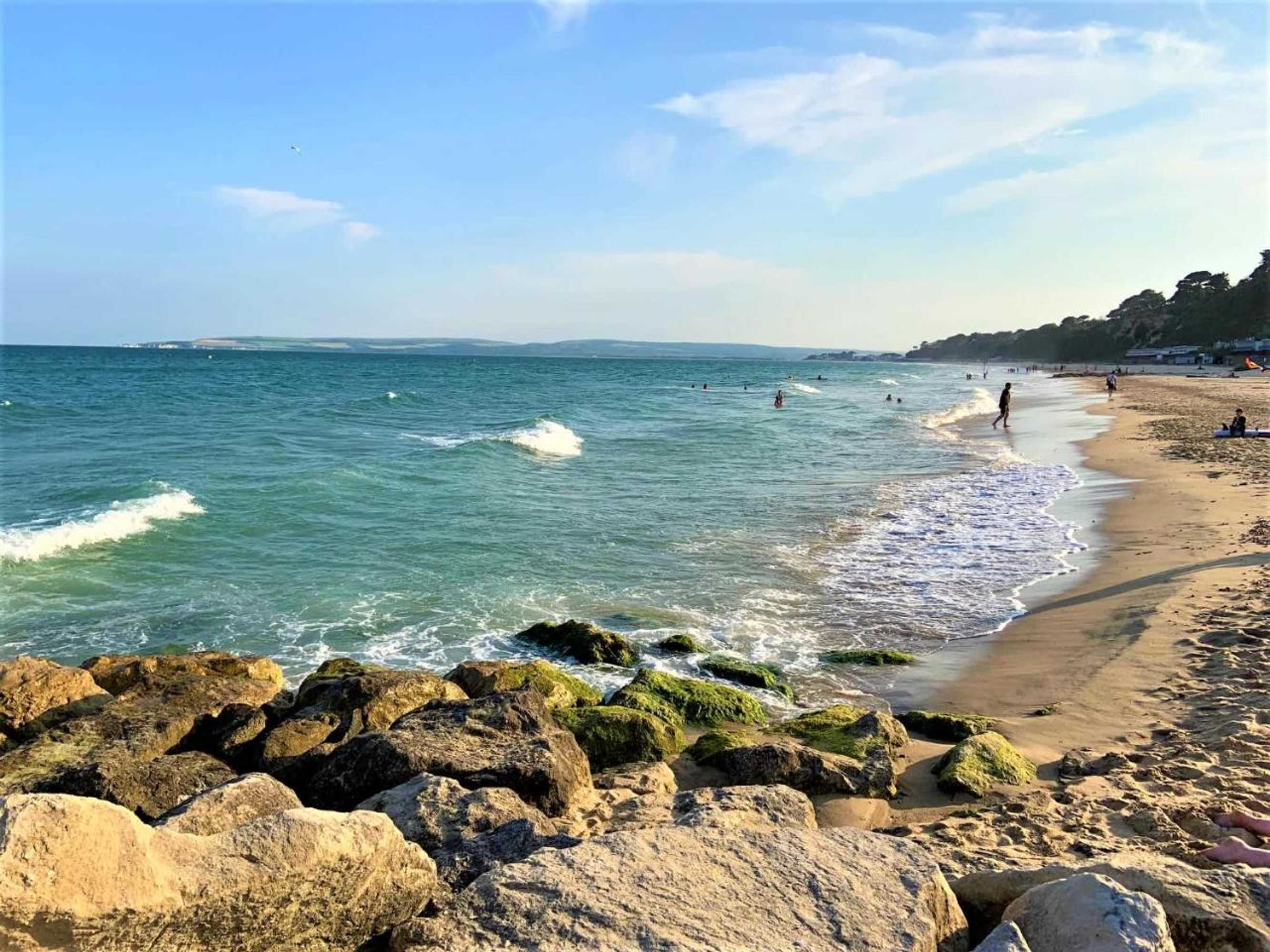 Gift card for Purbecks