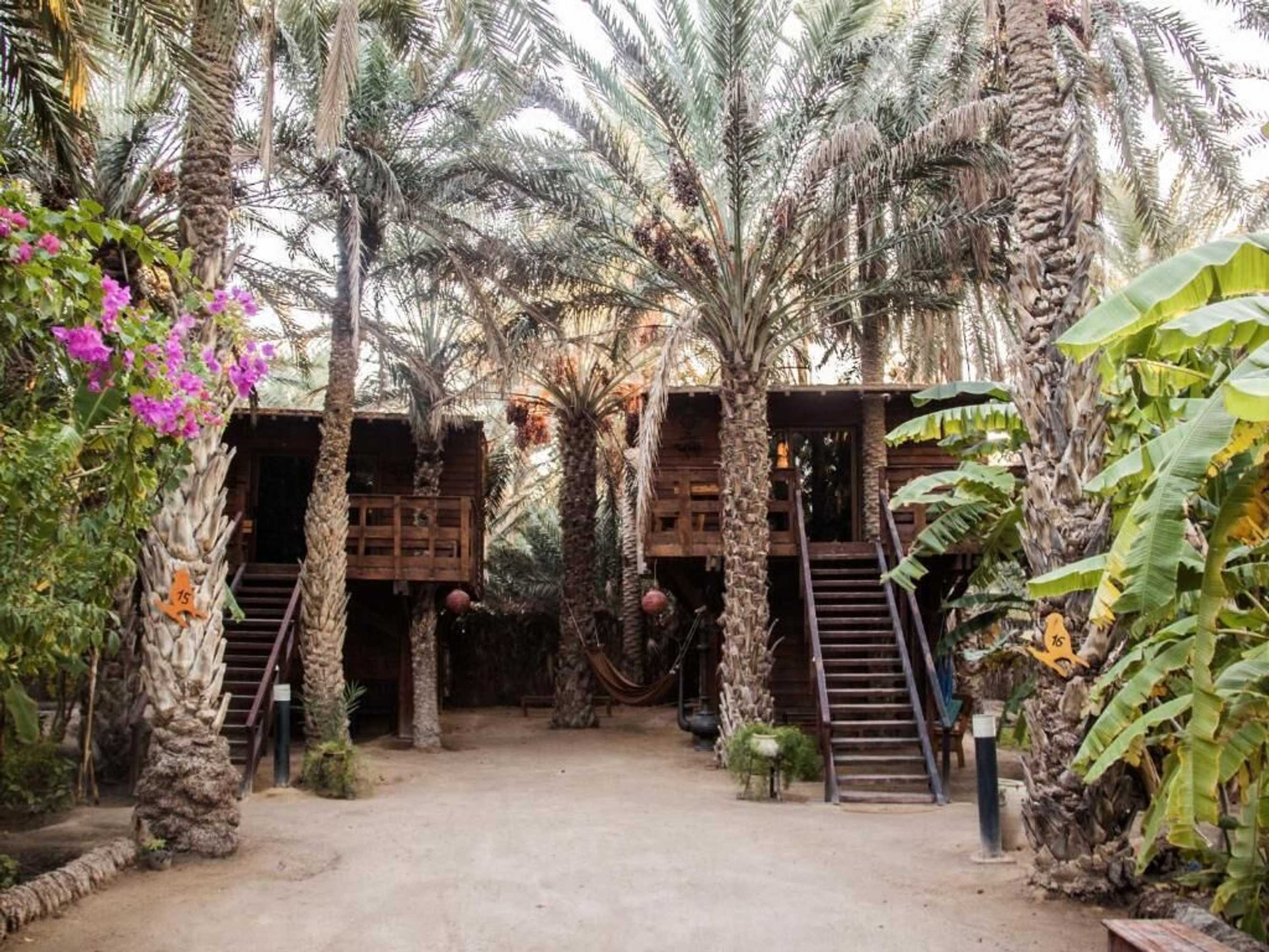 Gift card for Hotel Diar Abou Habibi