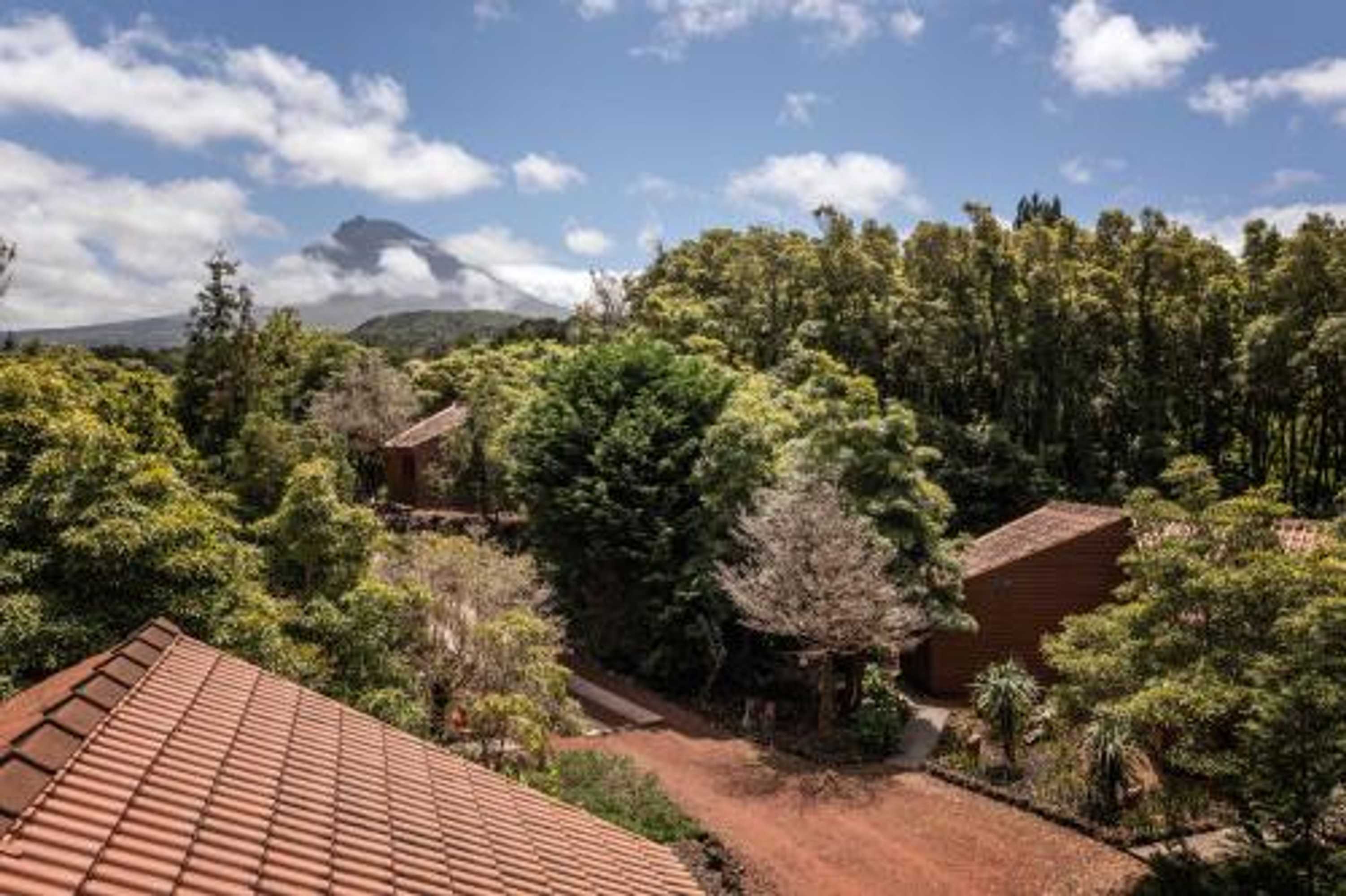 Gift card for Alma do Pico - Nature Residence Gift card for Alma do Pico - Nature Residence