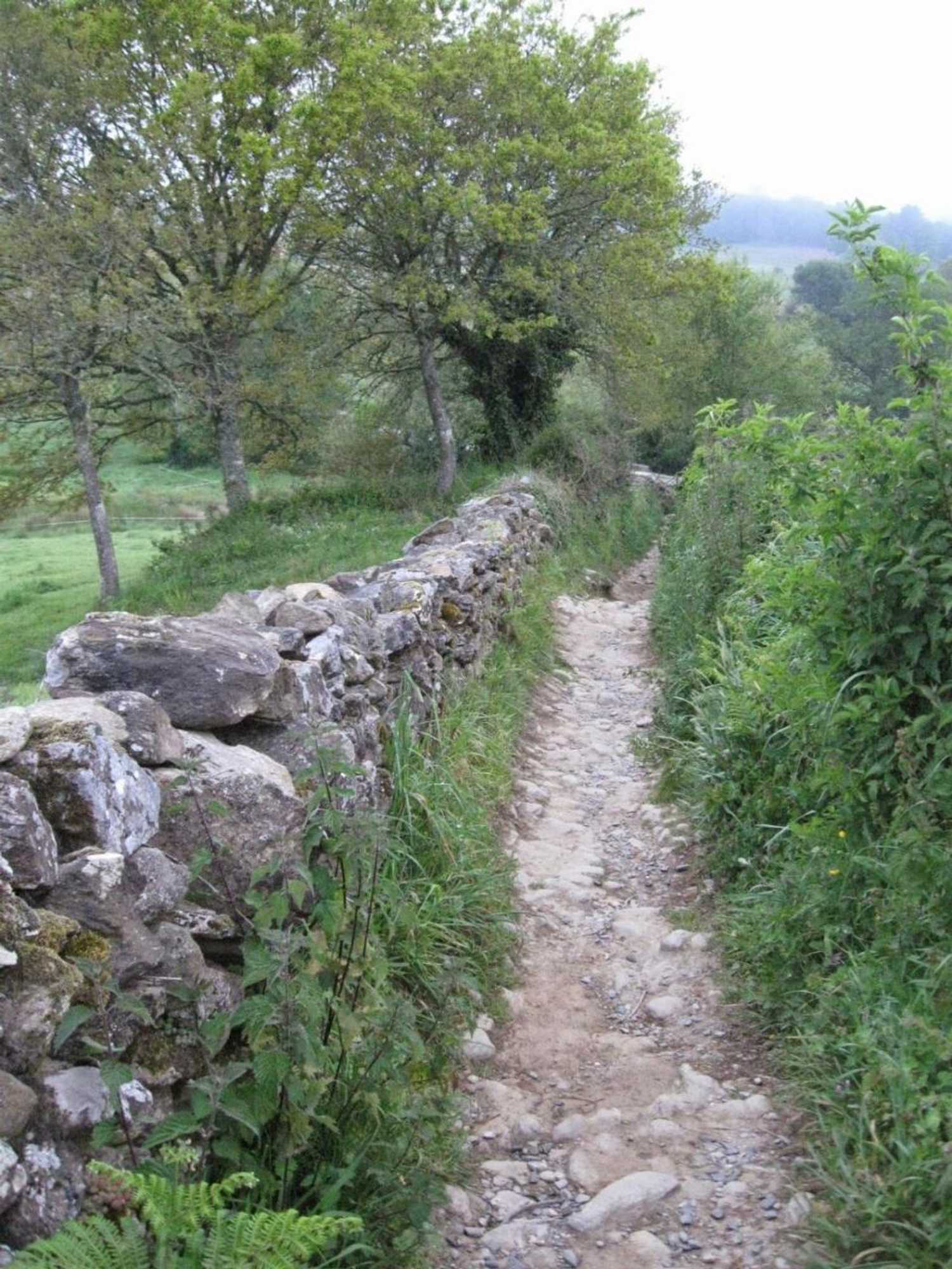 Gift card for Villa Berk en Heide