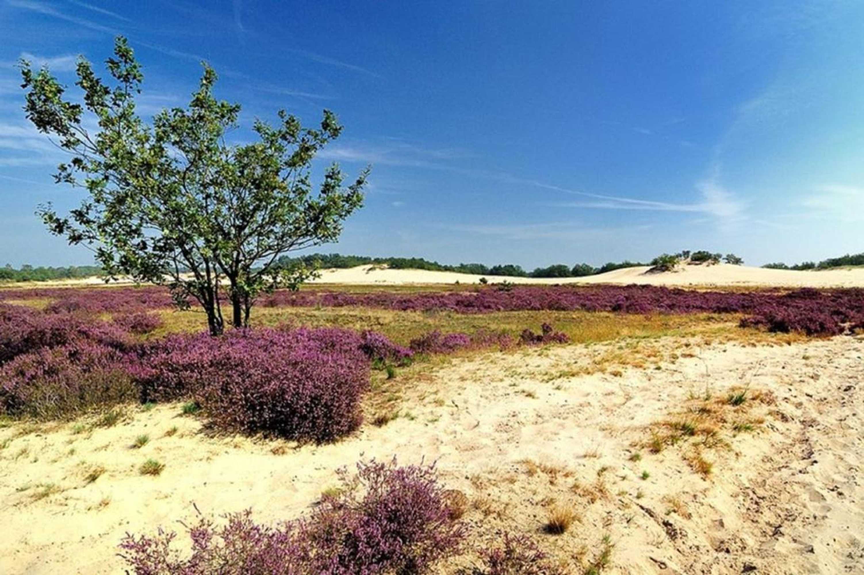 Gift card for Bed And Breakfast Rammesdoenk