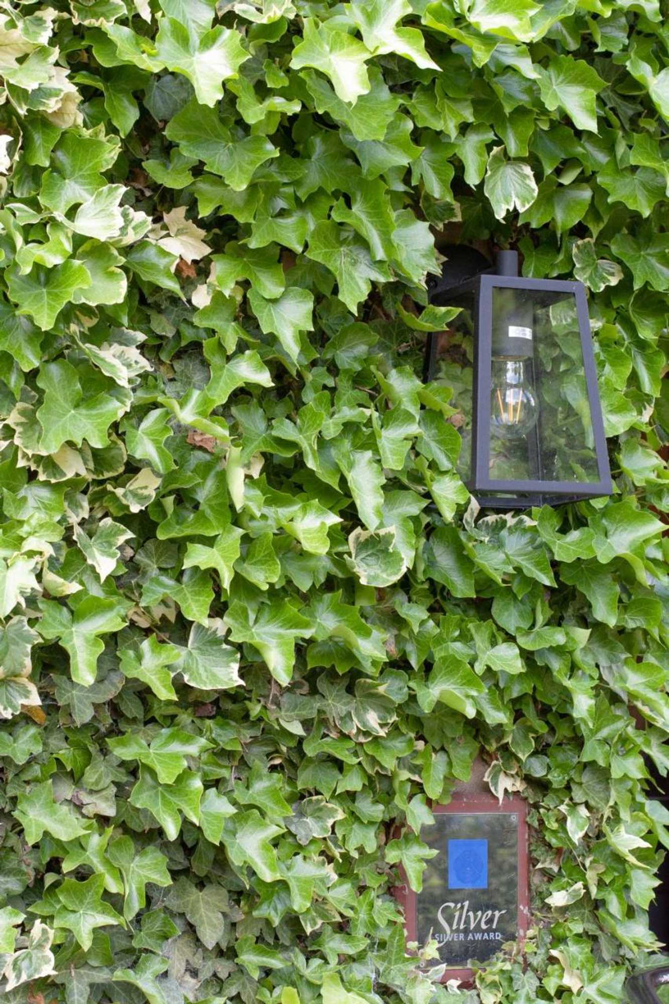 Gift card for Ascot House