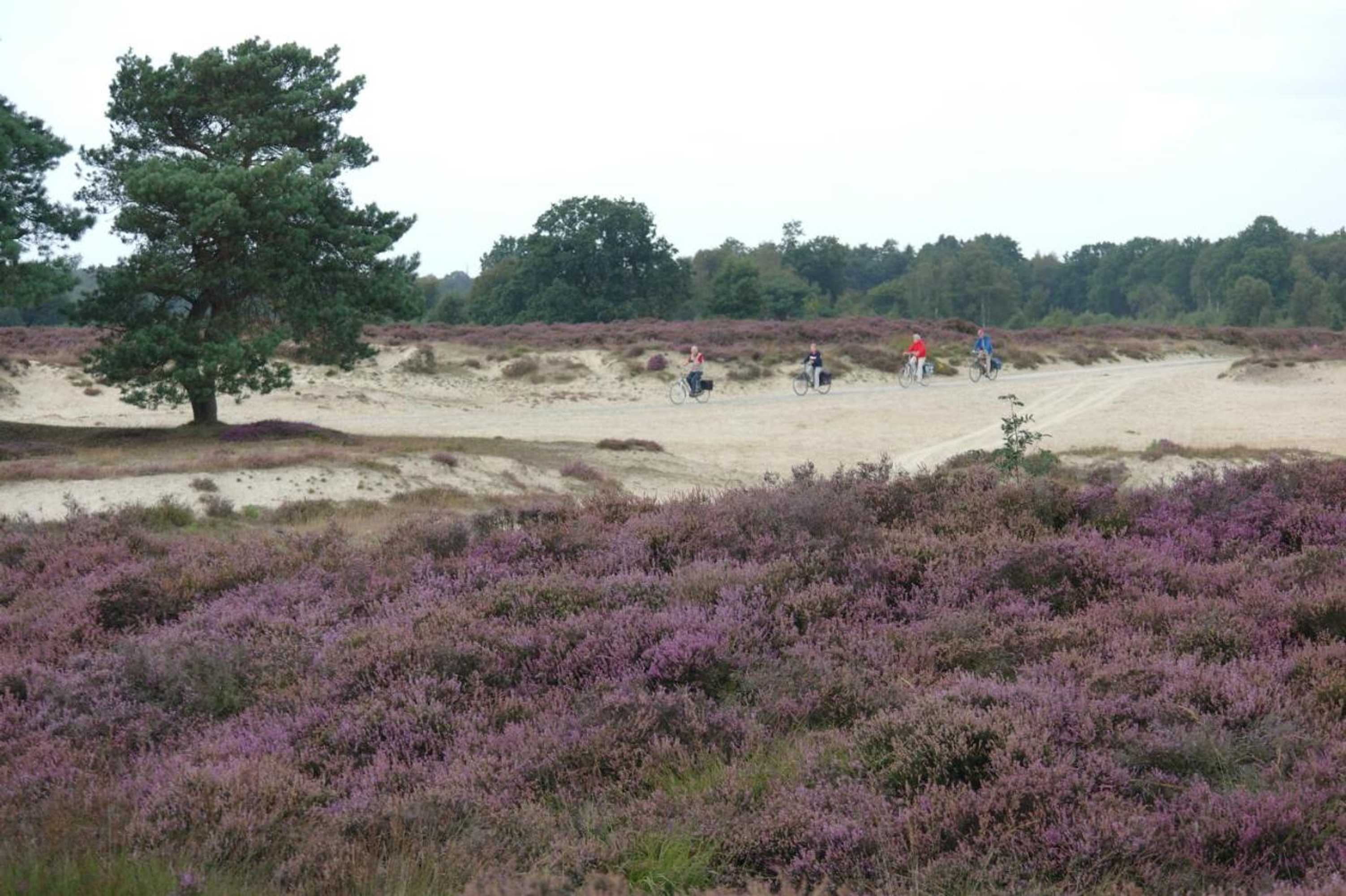 Gift card for The4seasons