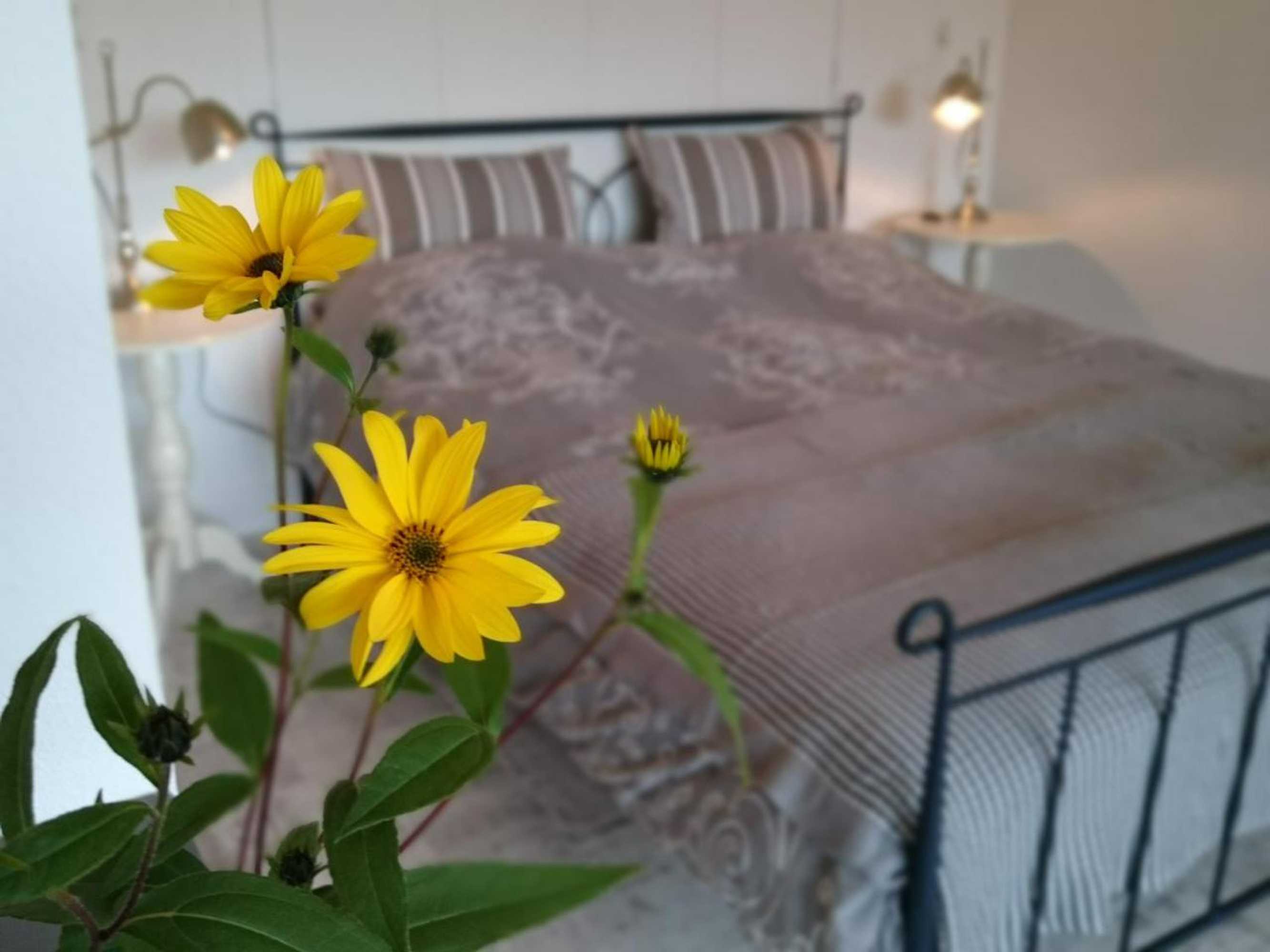 Gift card for De Rolders