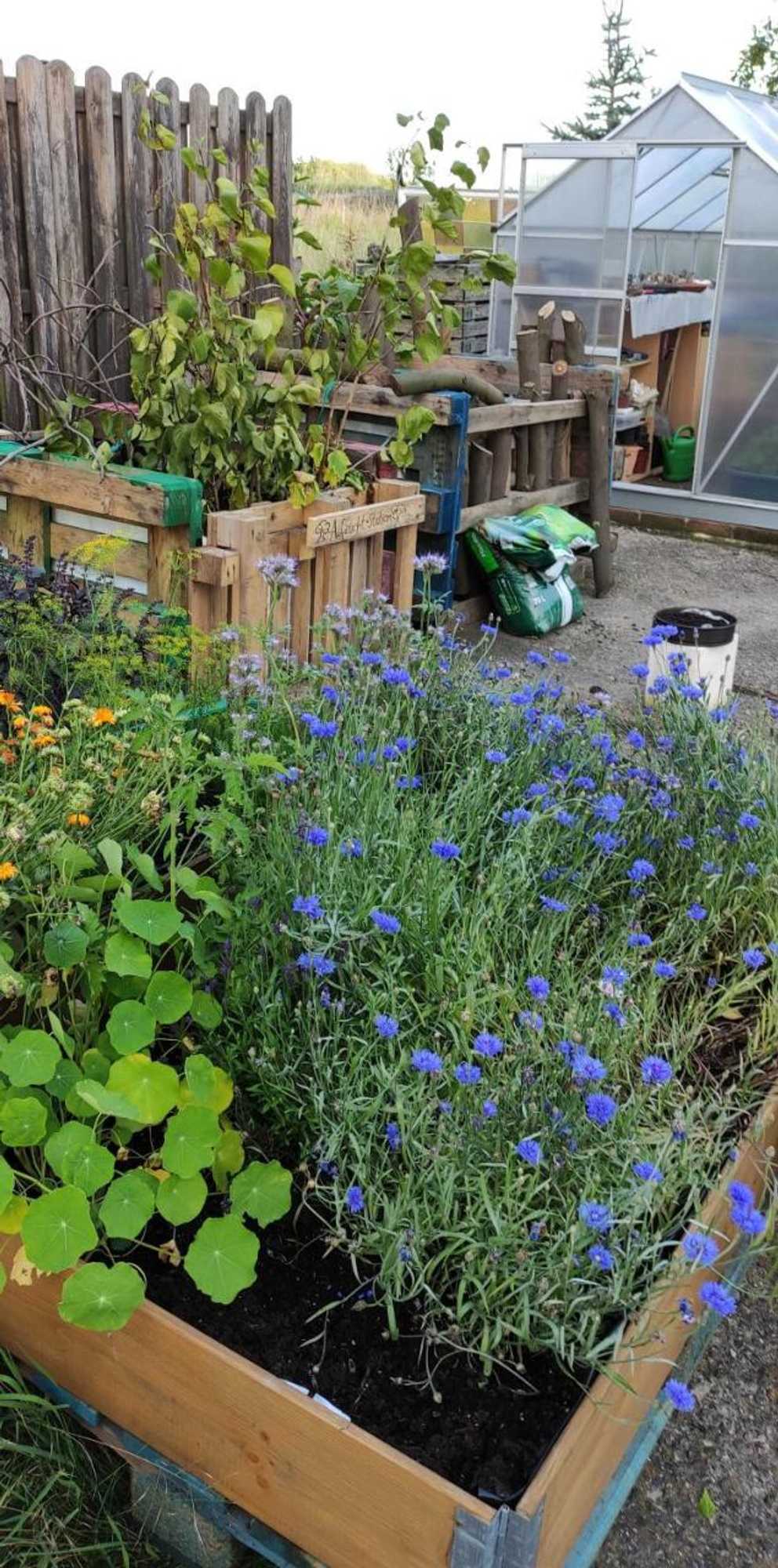 Gift card for Kreativhof Lehmberg