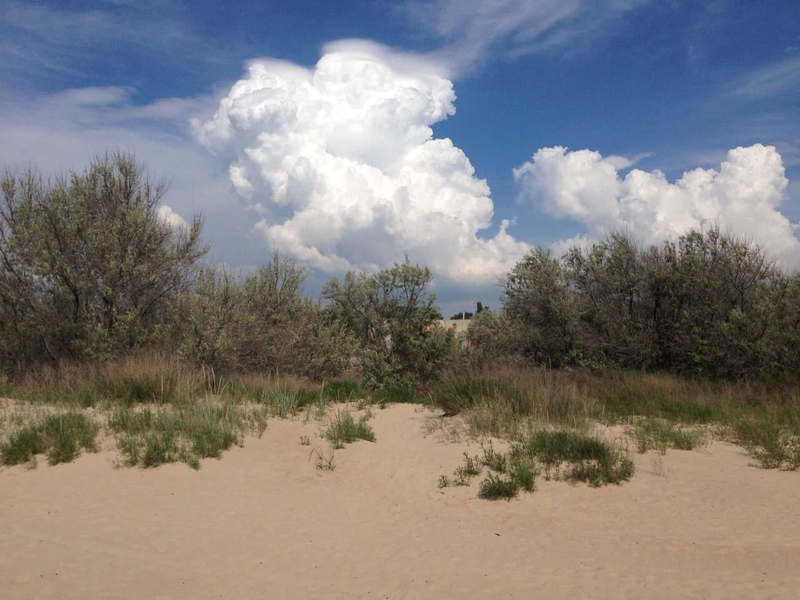 Gift card for Guest House Zolotistyy