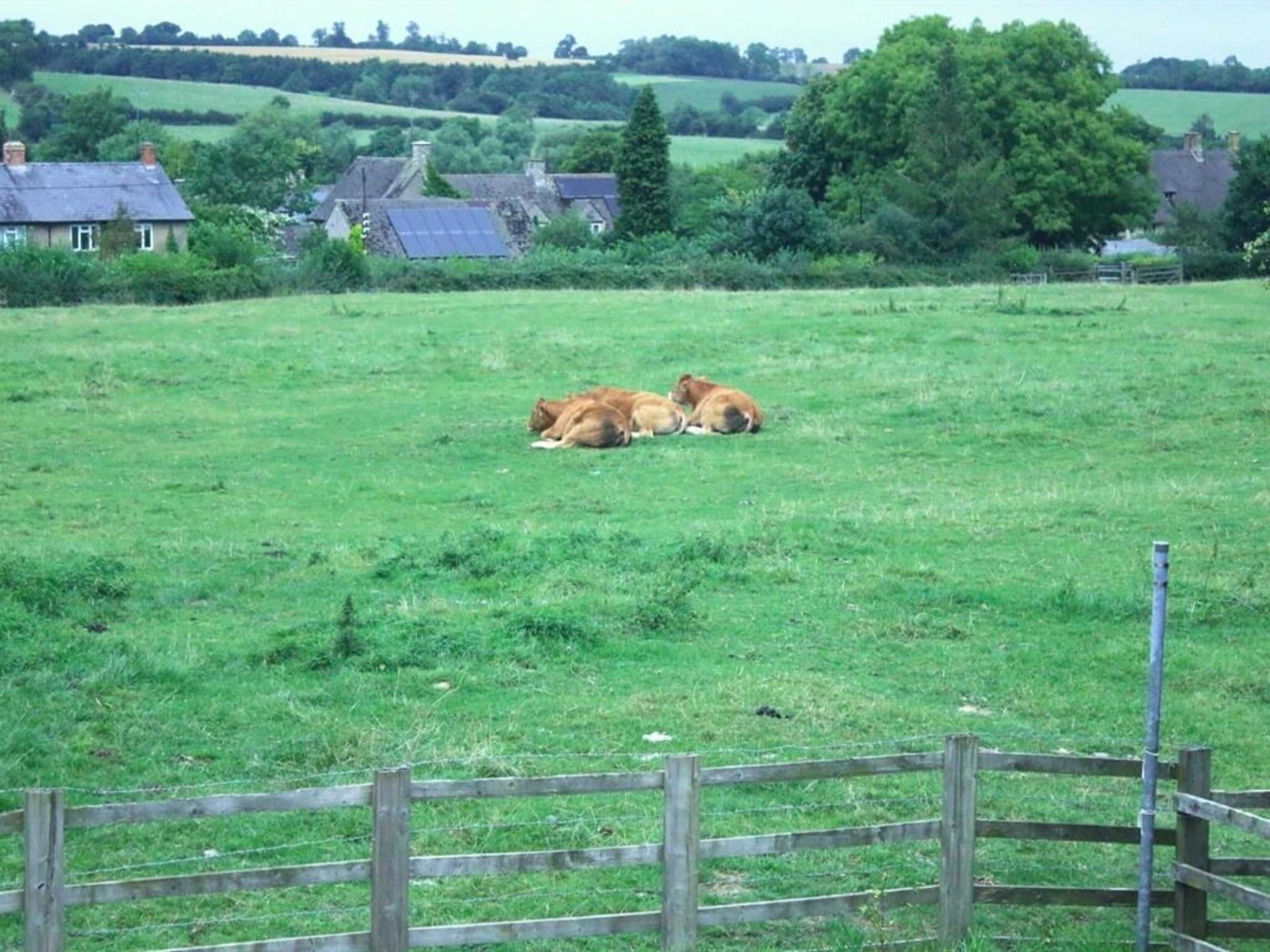 Gift card for Stone House Bed And Breakfast