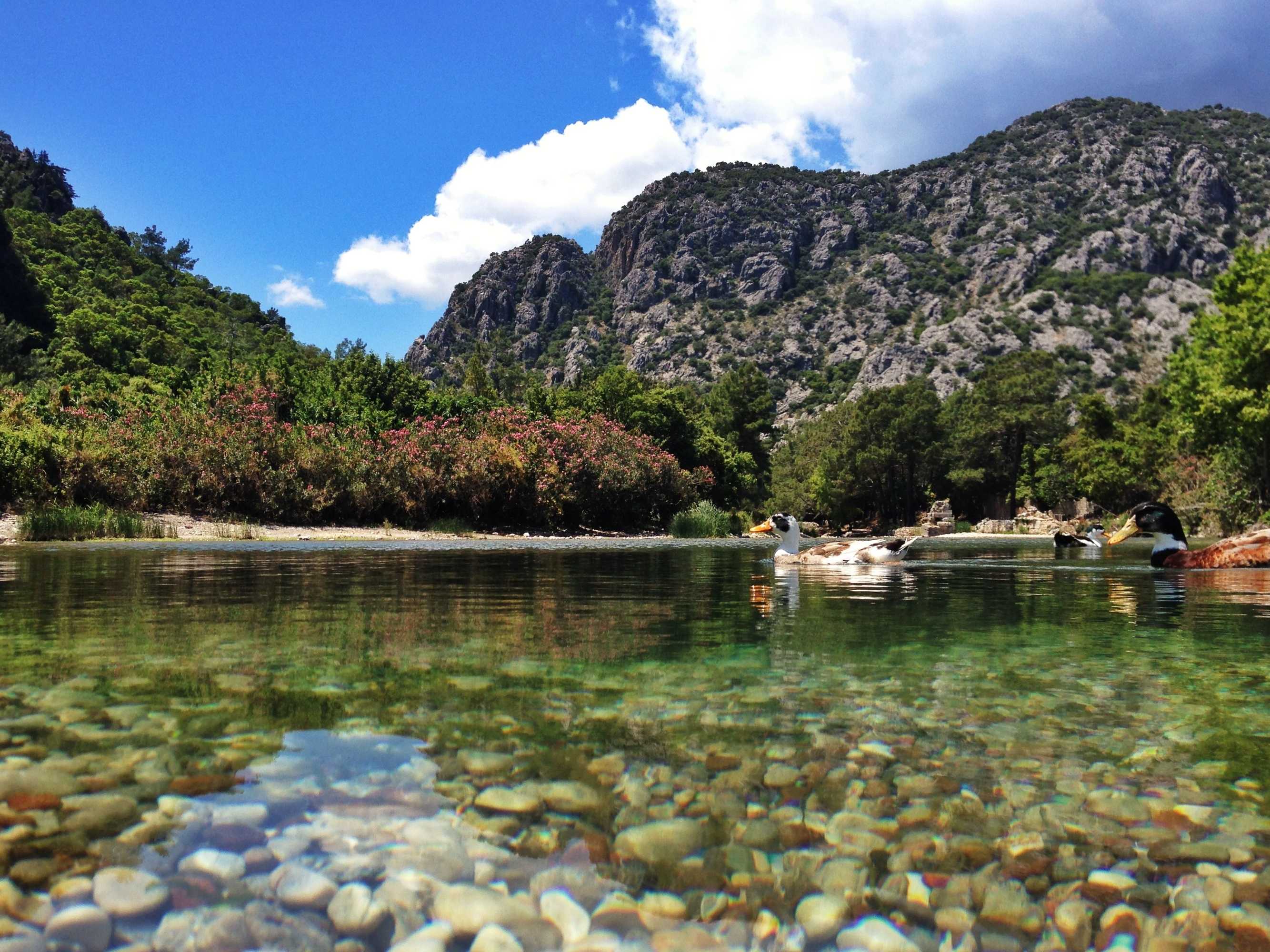 Gift card for Kadir's Tree Houses